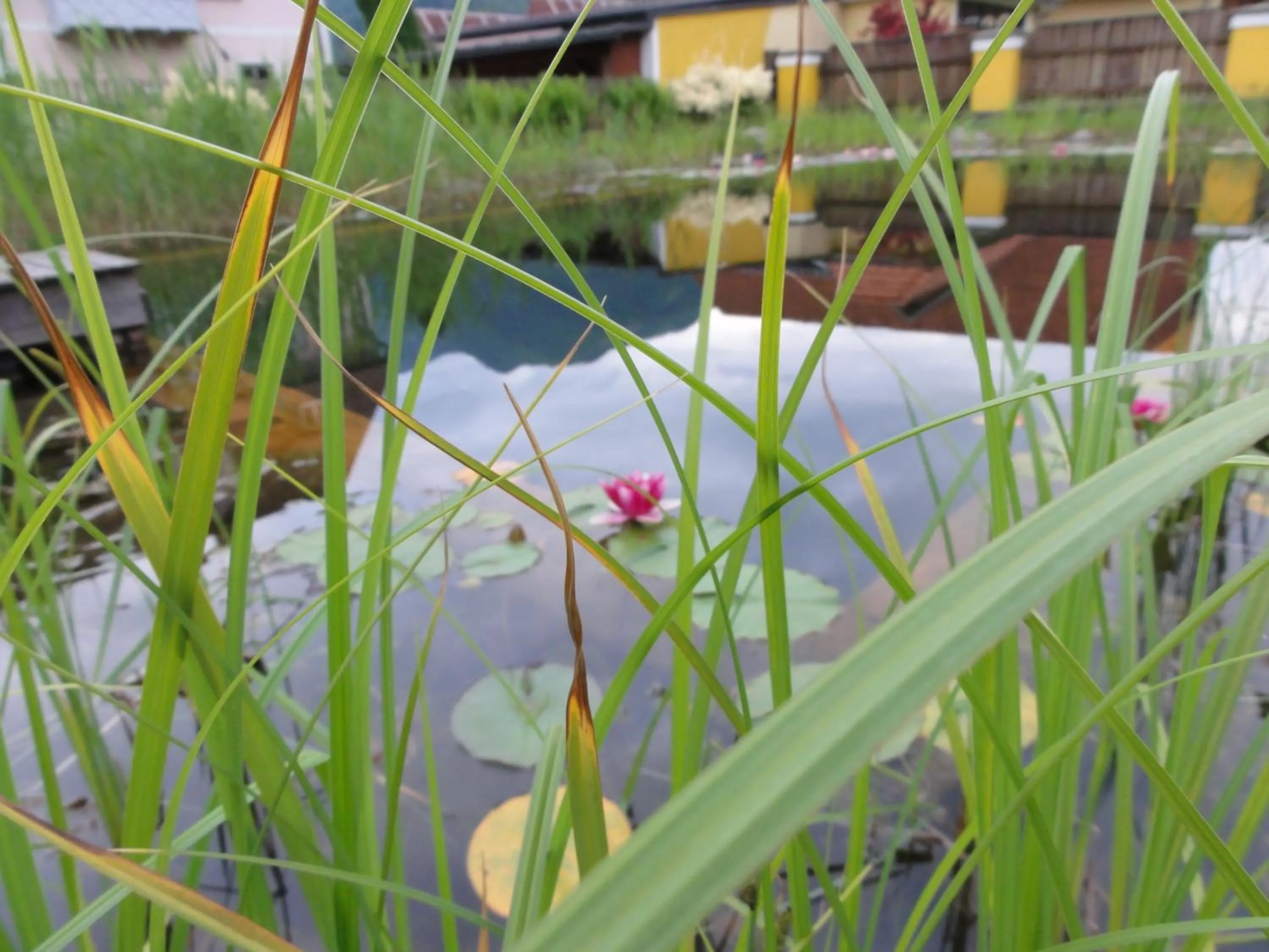 Area and facilities in Familiengasthof Maier