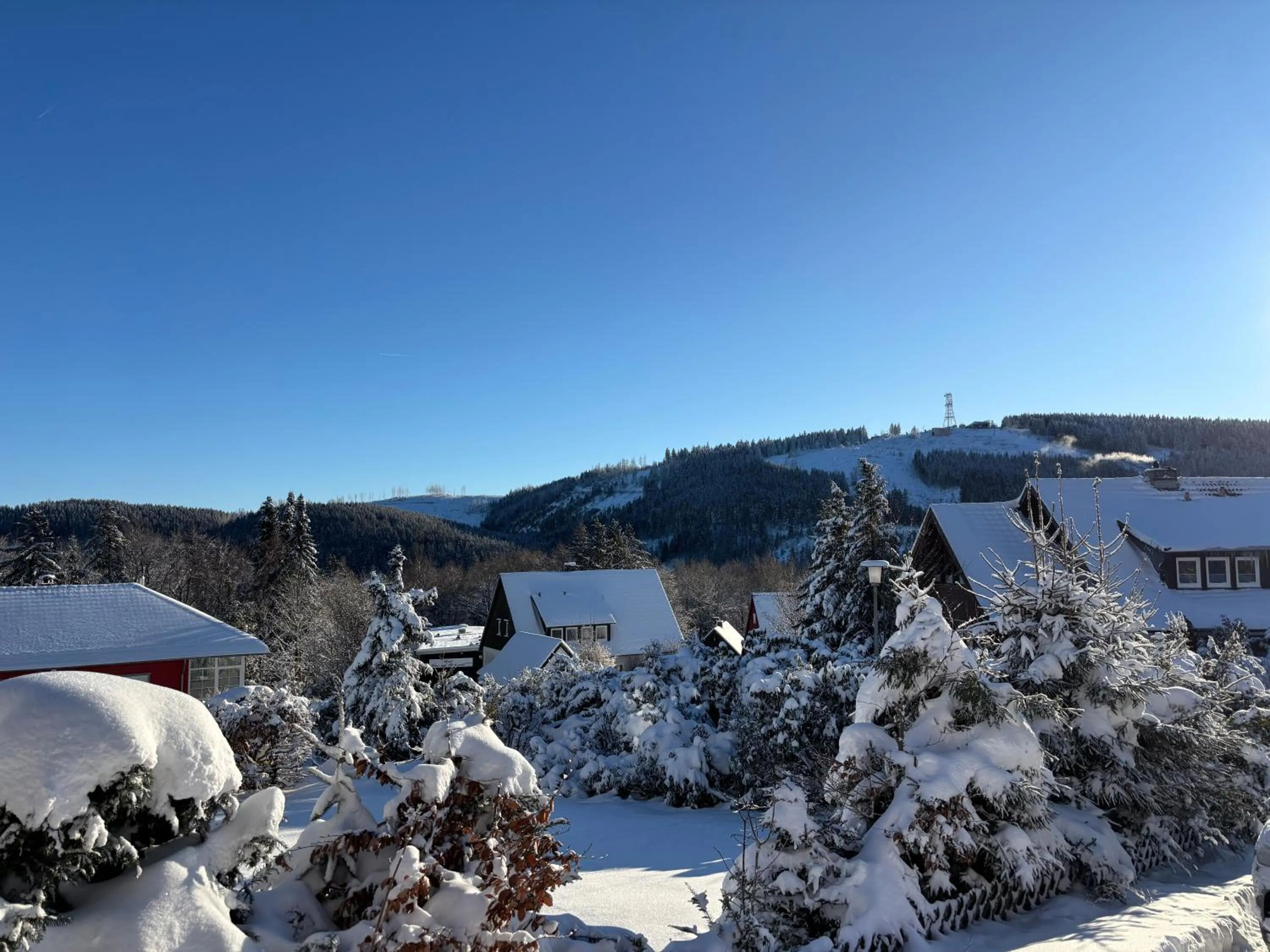 Mountain view in Hotel Haus am Hochwald