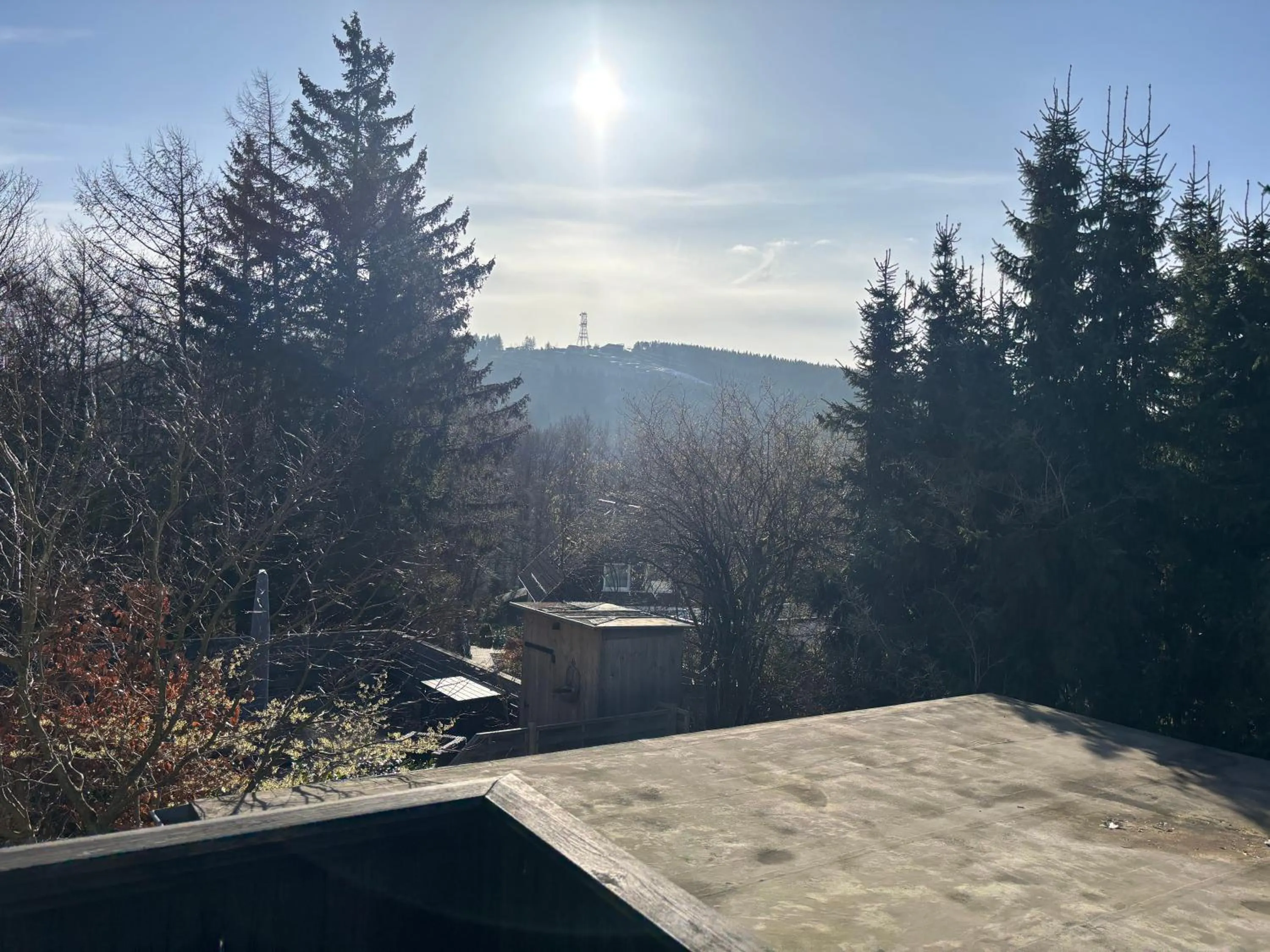 Natural landscape in Hotel Haus am Hochwald