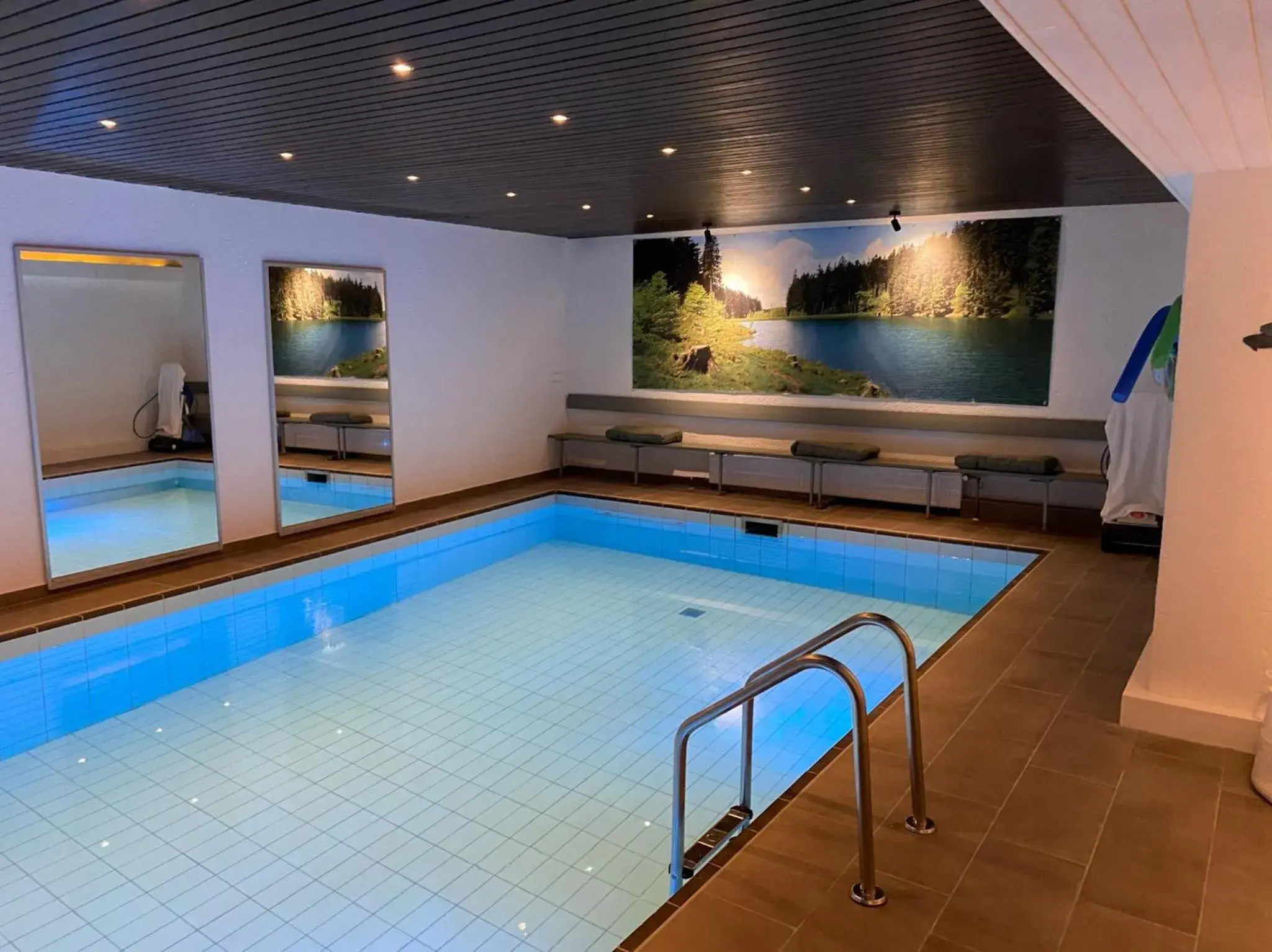 Swimming Pool in Hotel Haus am Hochwald