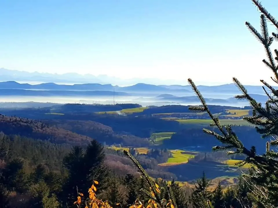 Natural landscape in Hotel Das Landhaus
