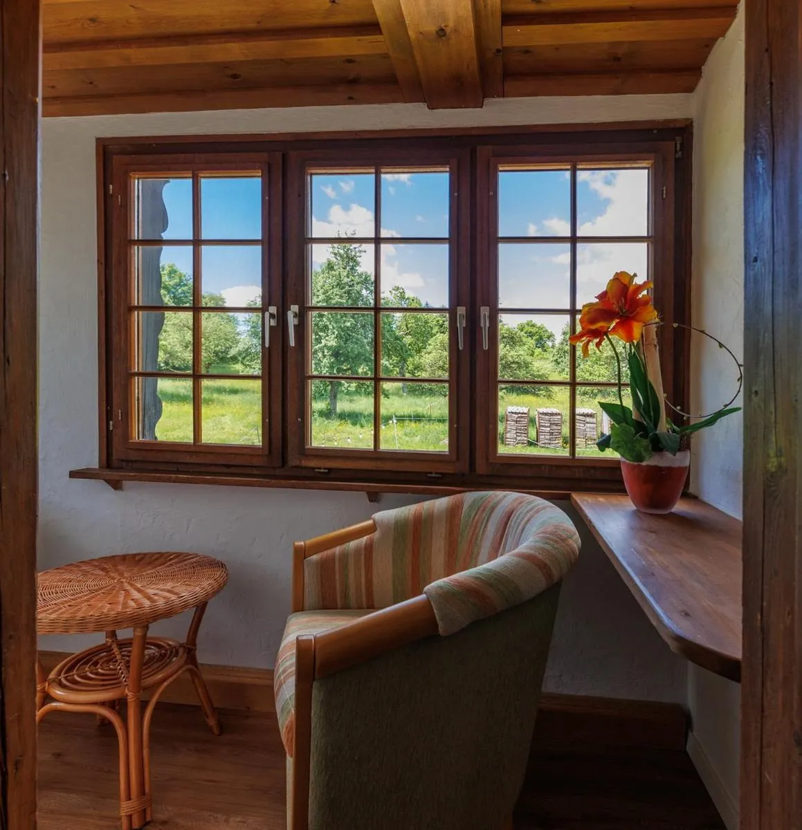 View (from property/room) in Hotel Das Landhaus