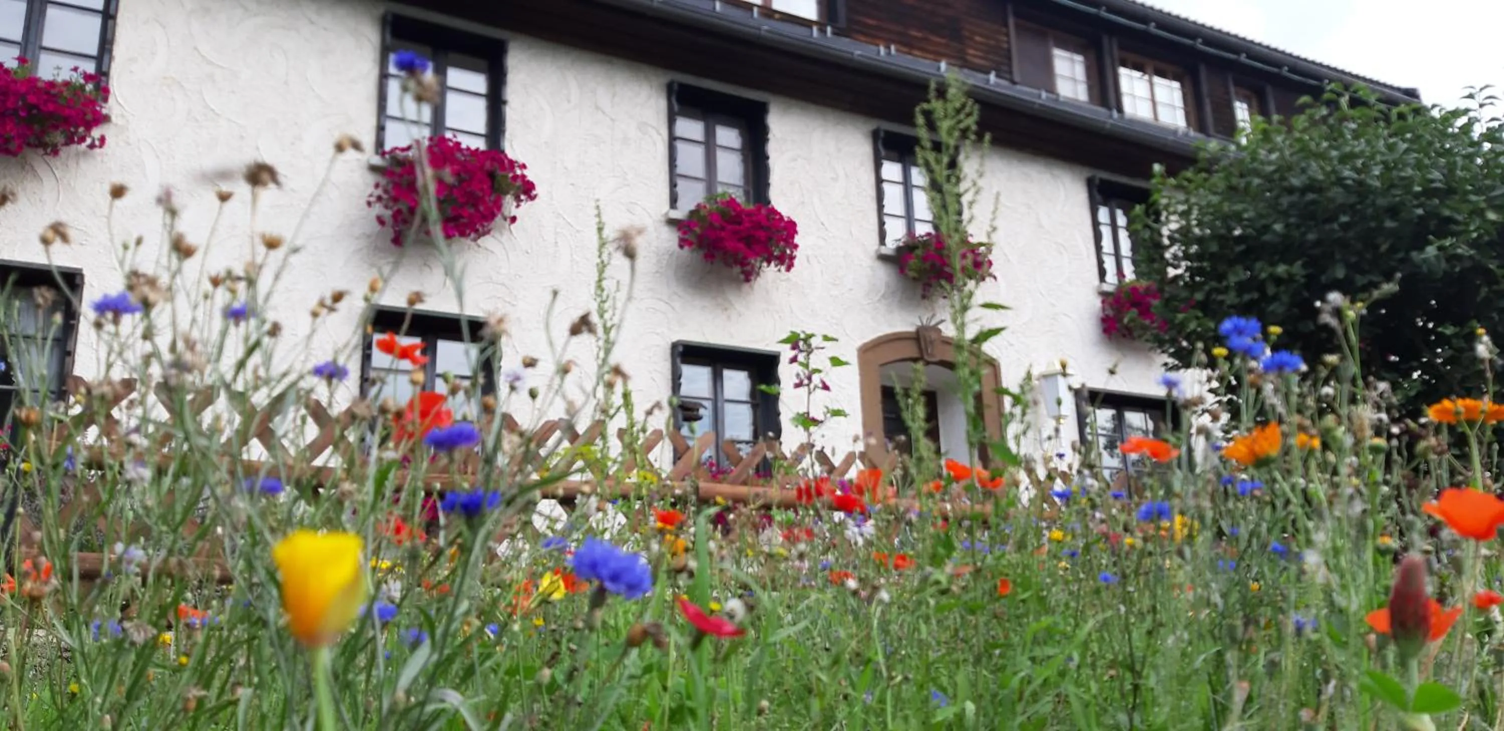 Garden in Hotel Das Landhaus