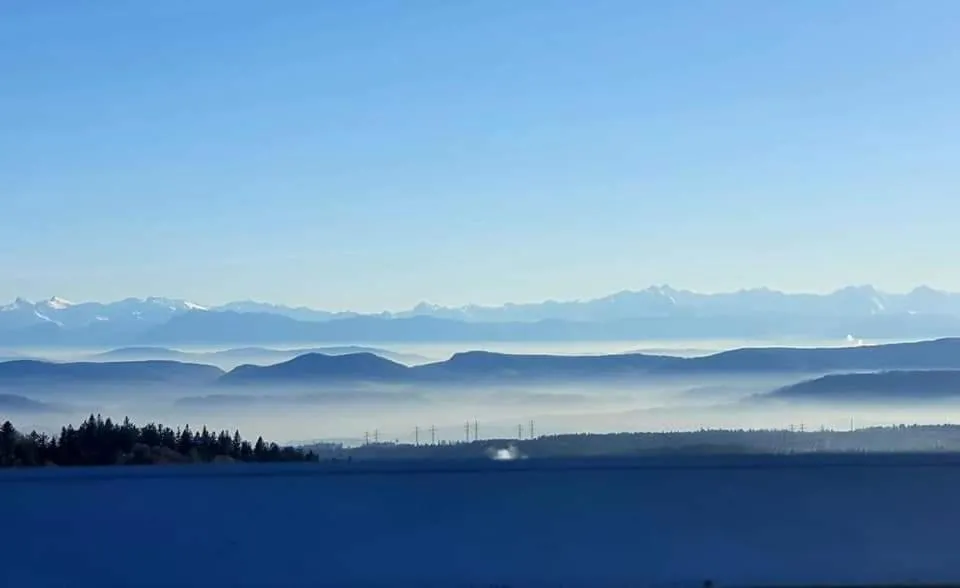 Natural landscape in Hotel Das Landhaus