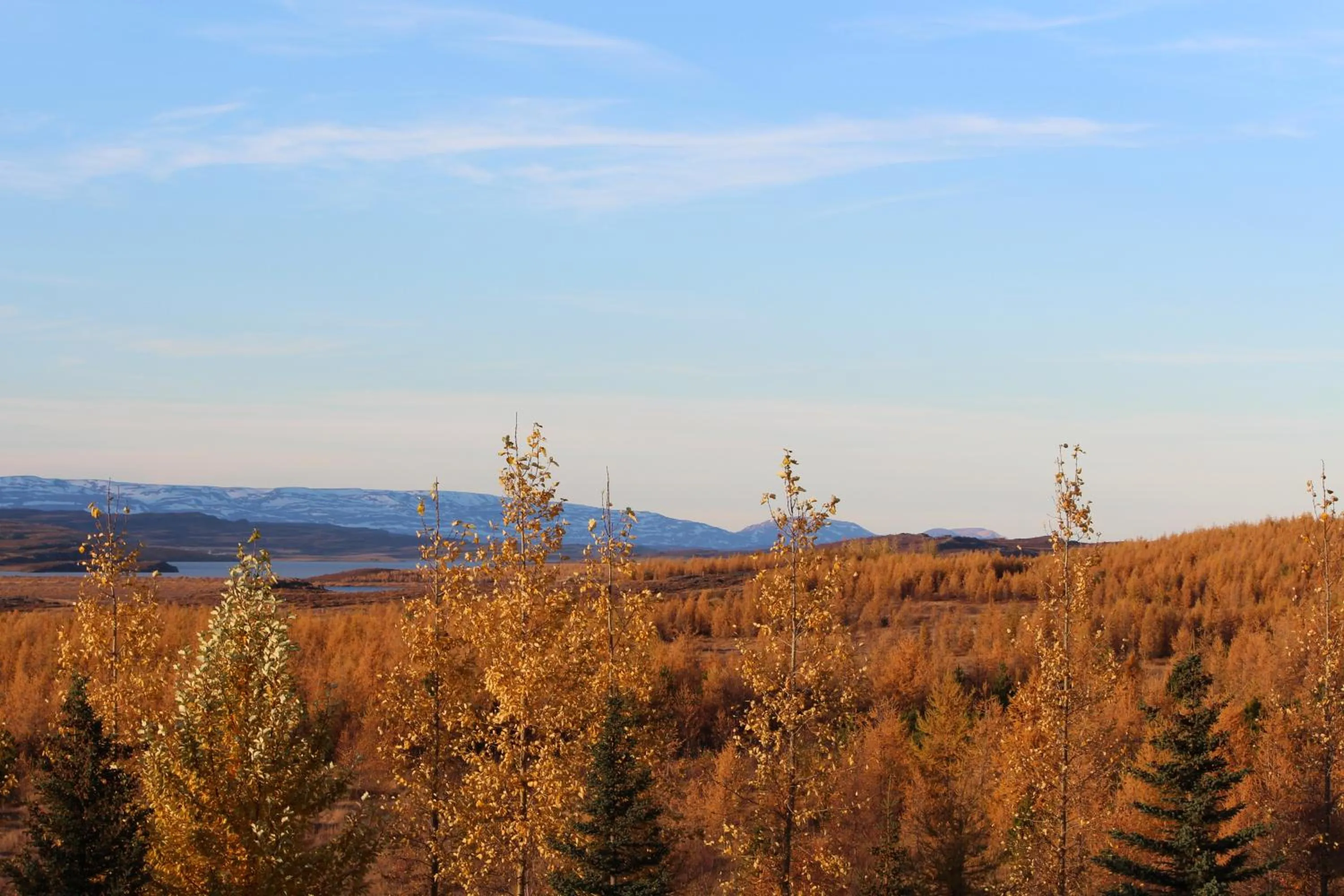 View (from property/room) in Hótel Eyvindará