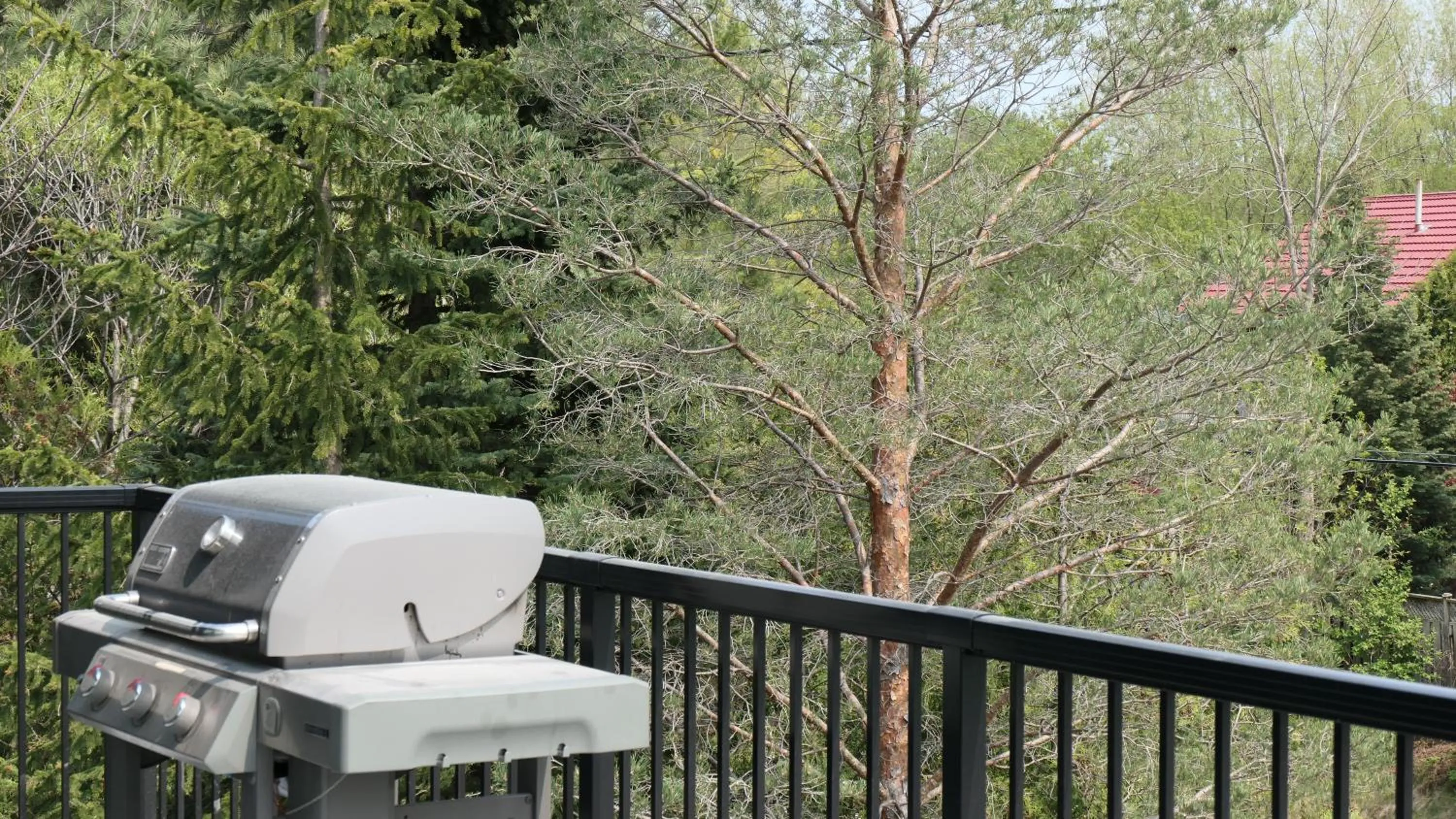 Natural landscape in 107 Birchview Trail