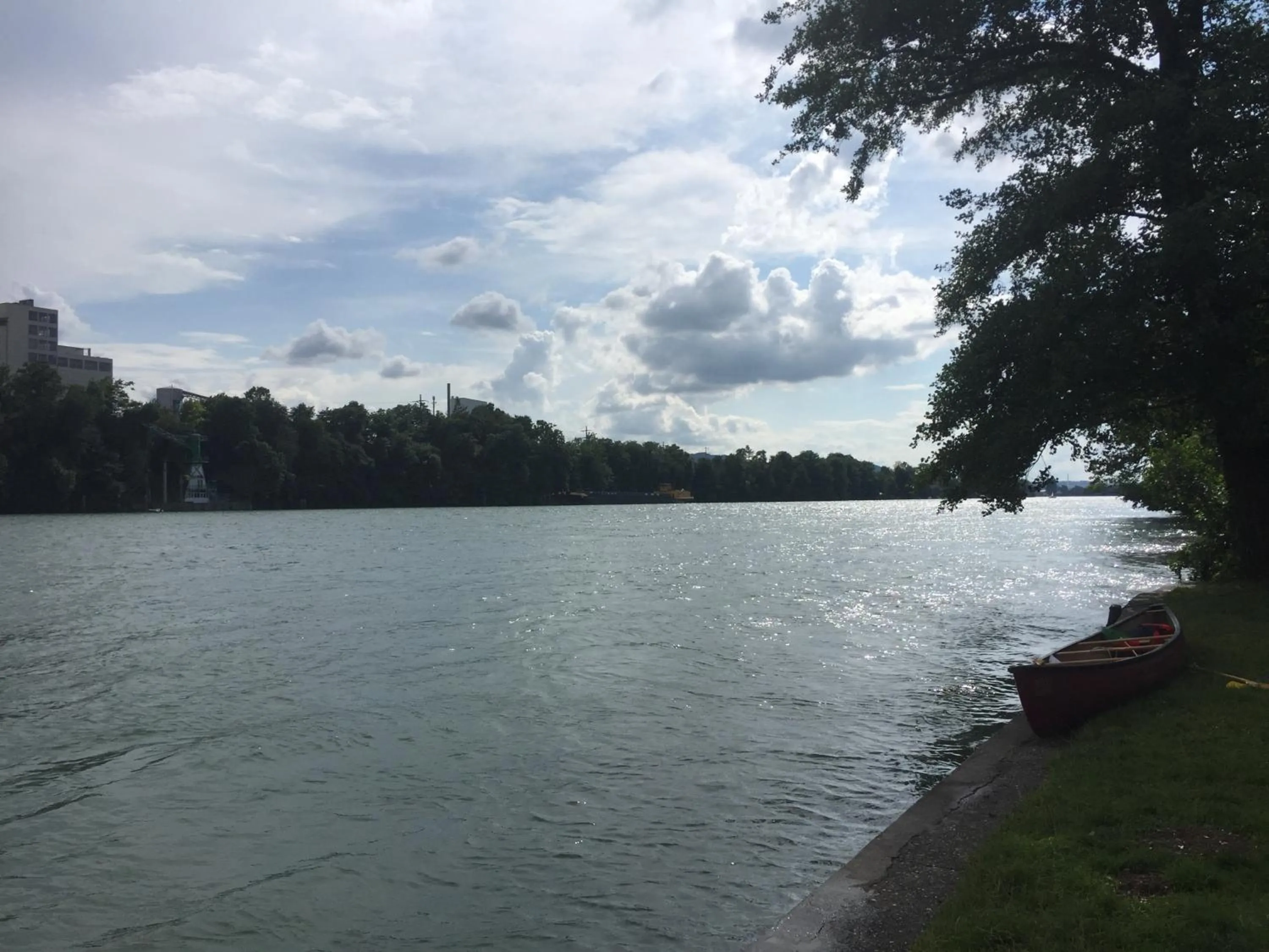 Natural landscape in Hotel Rheinbrücke