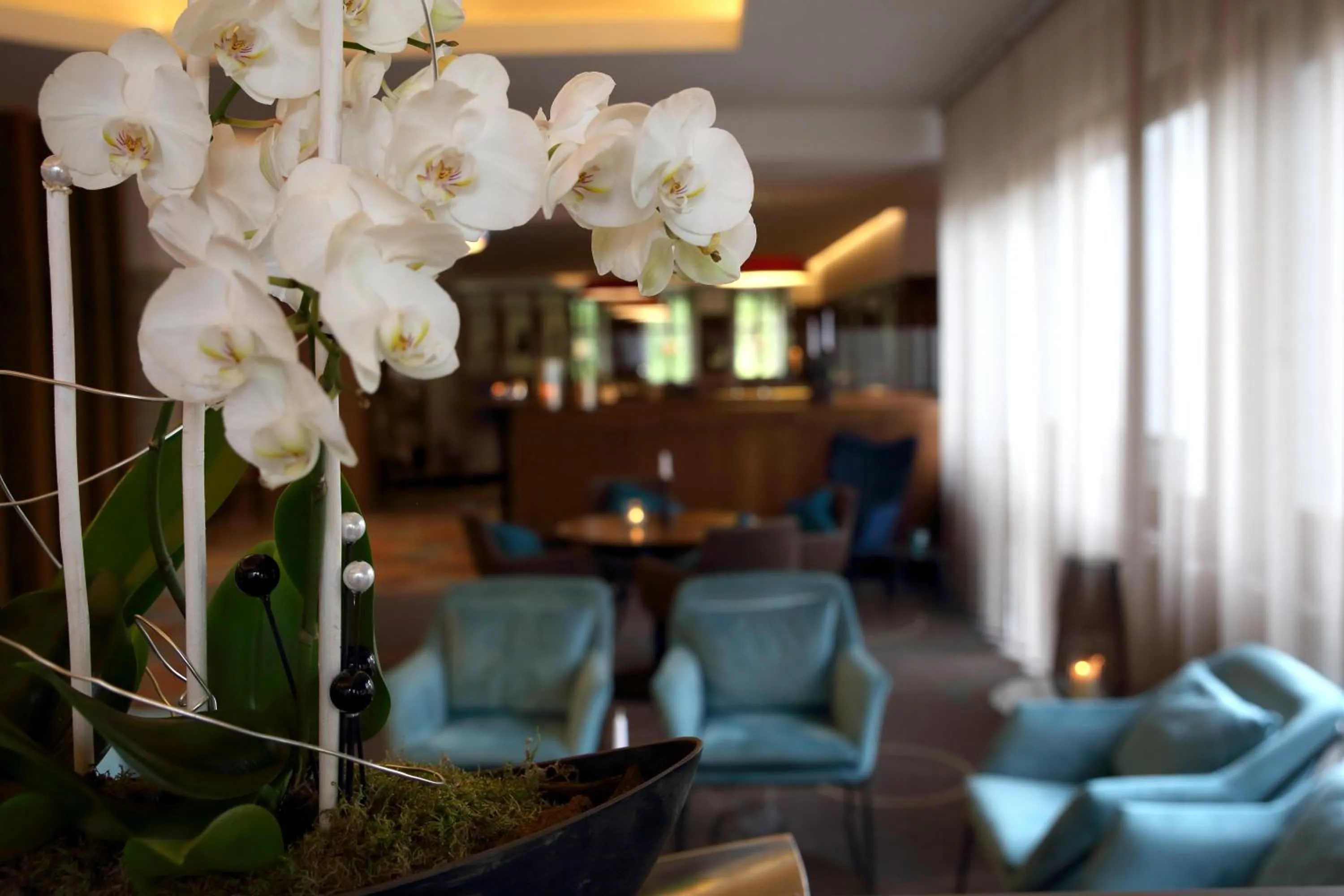 Seating area in Lobinger-Parkhotel