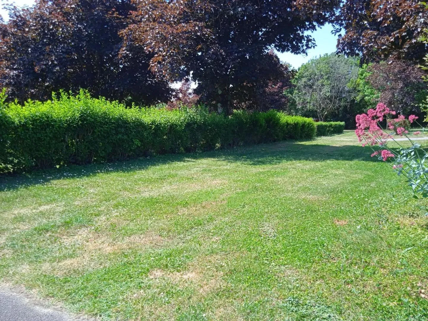 Garden in Olydea le Lambon - Prailles-la-Couarde
