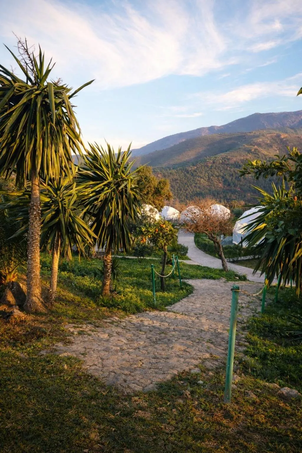 Hotel Taray Botanico
