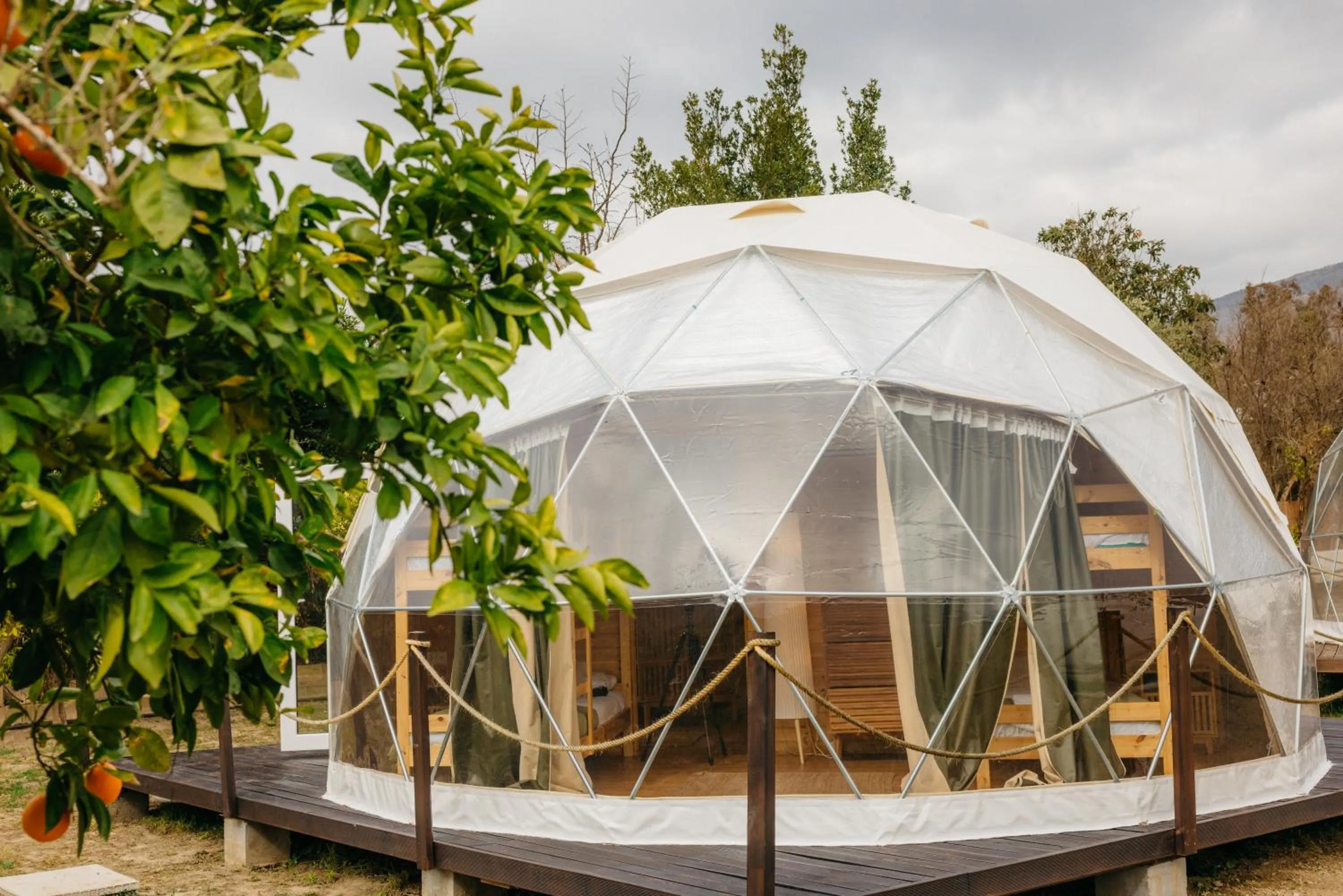 Hotel Taray Botanico