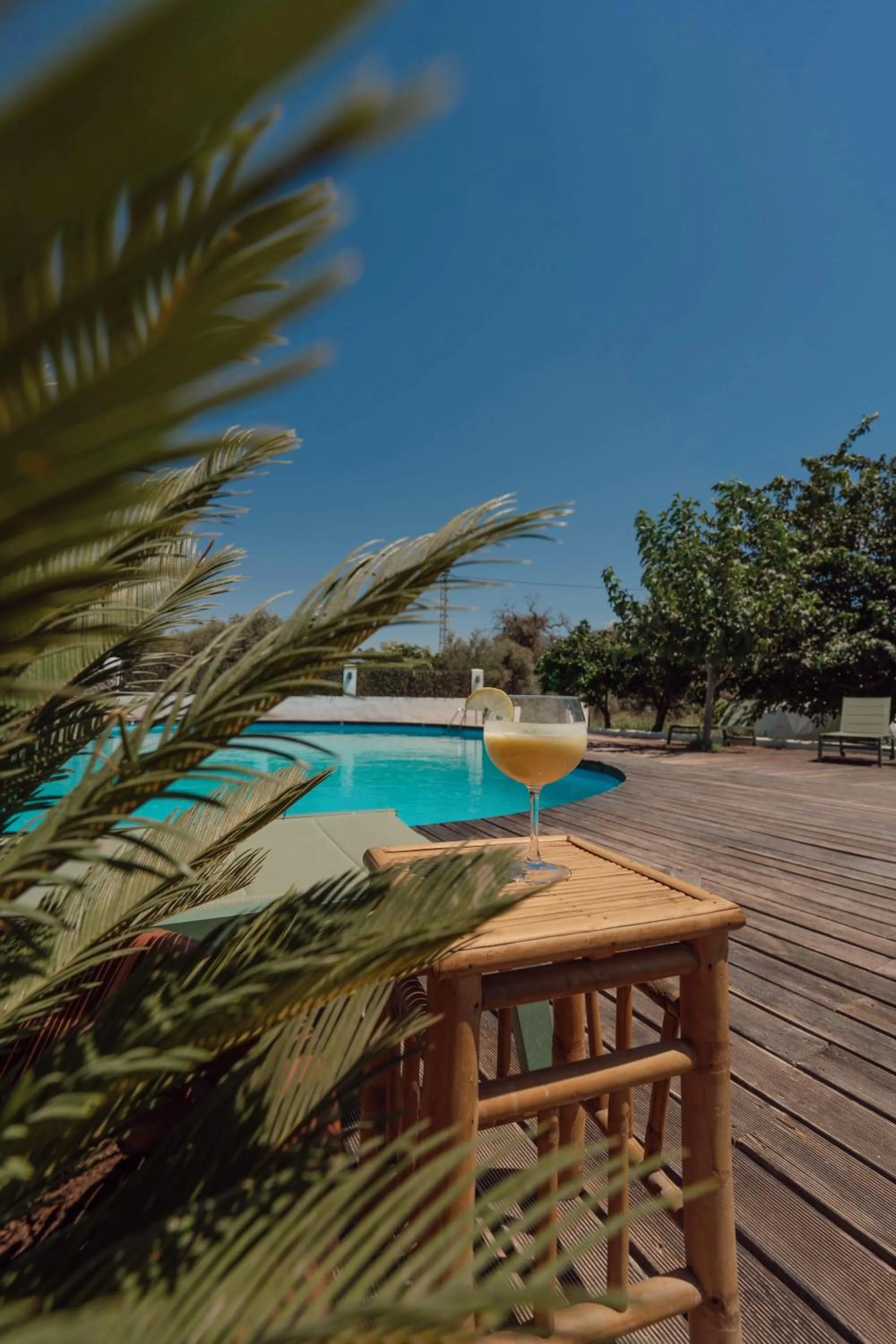 Hotel Taray Botanico