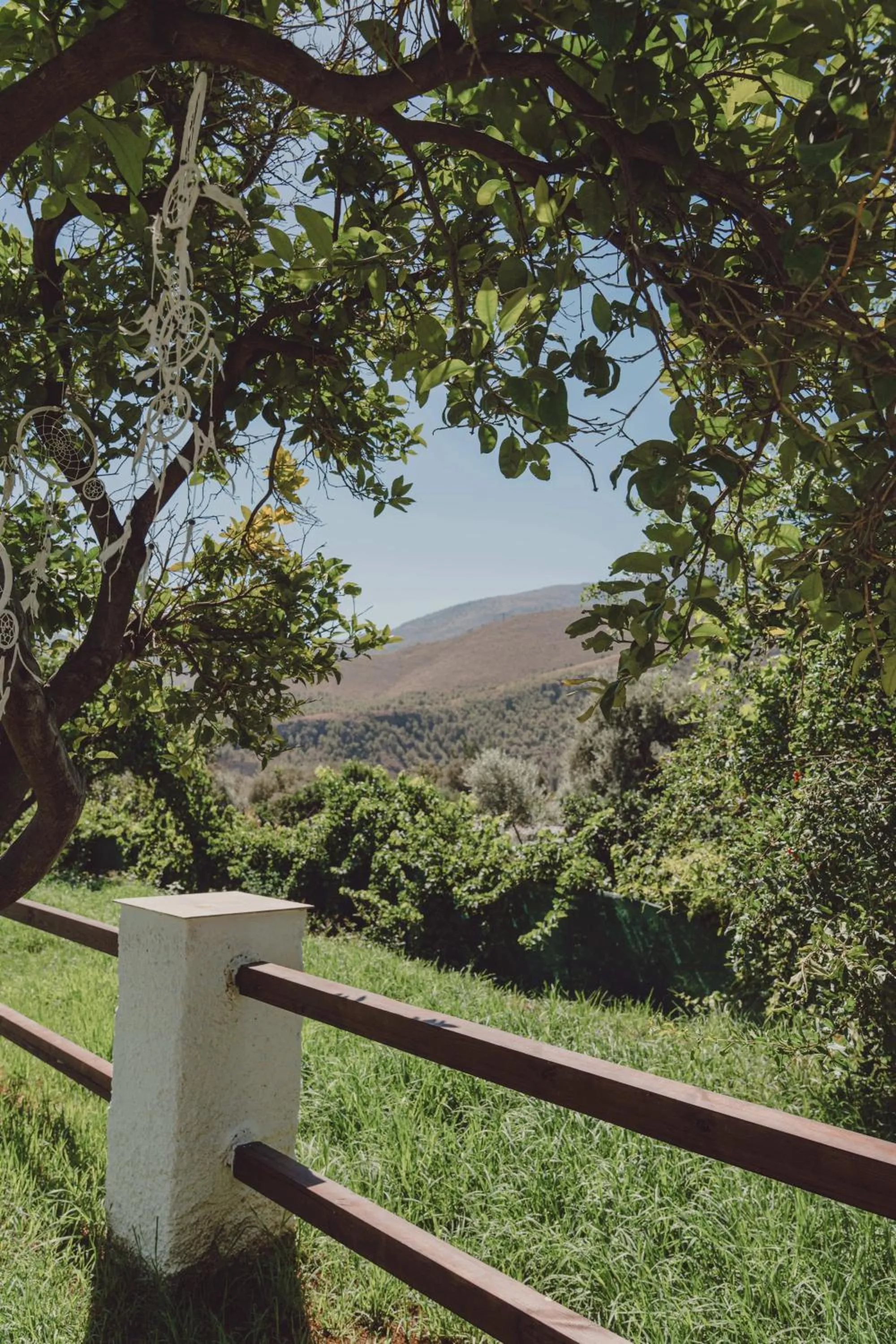 Hotel Taray Botanico