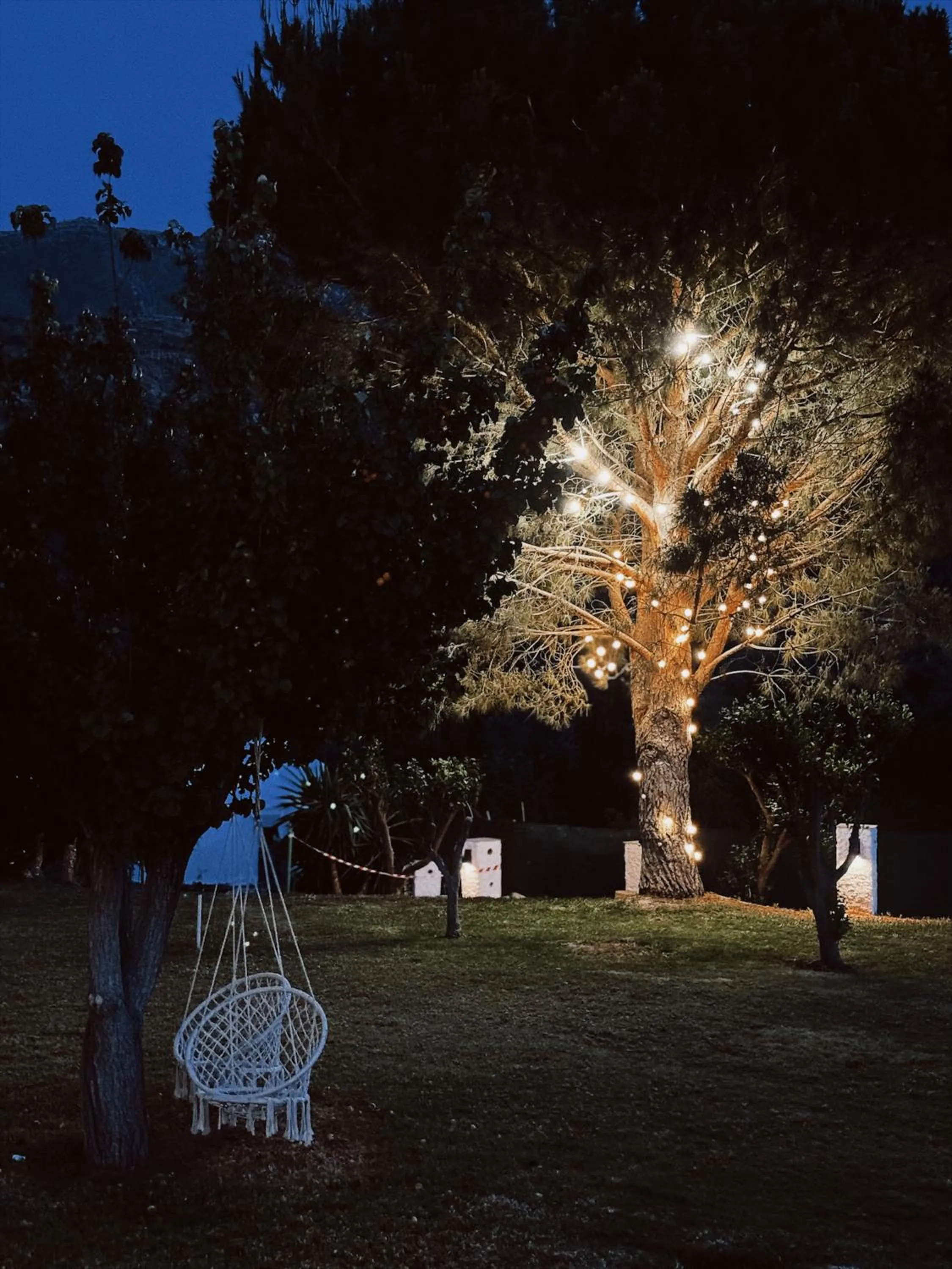 Hotel Taray Botanico