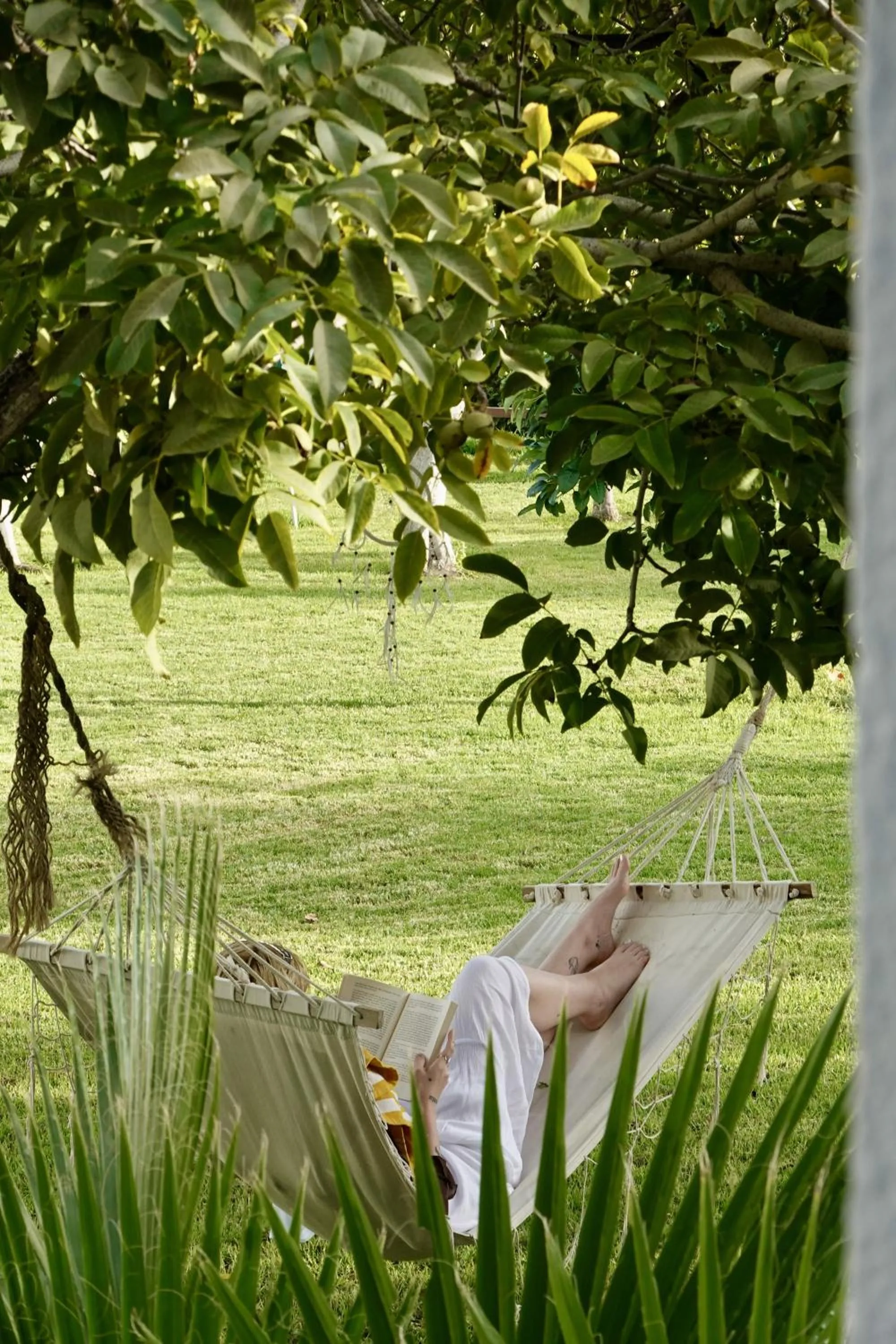 Hotel Taray Botanico