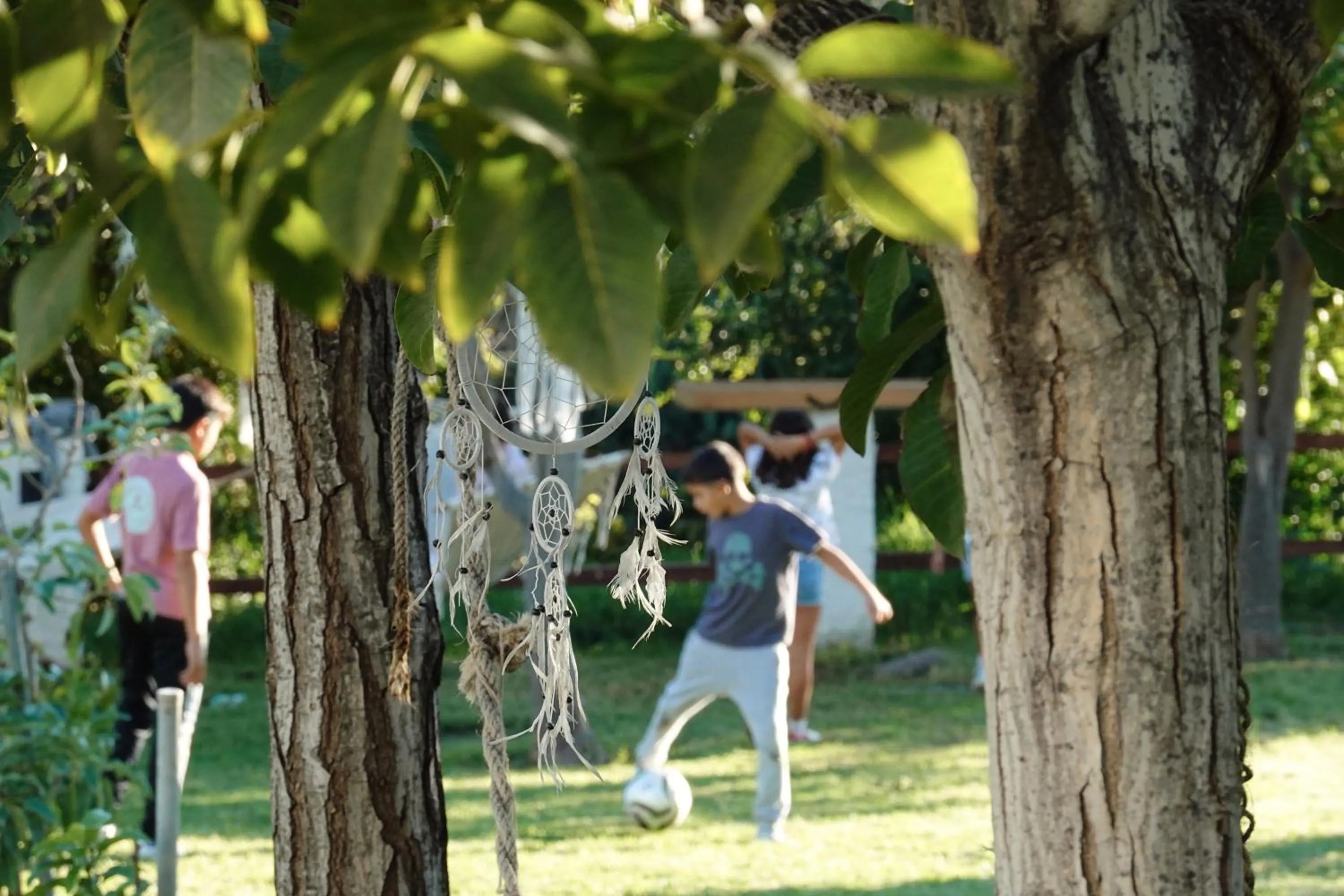 Hotel Taray Botanico