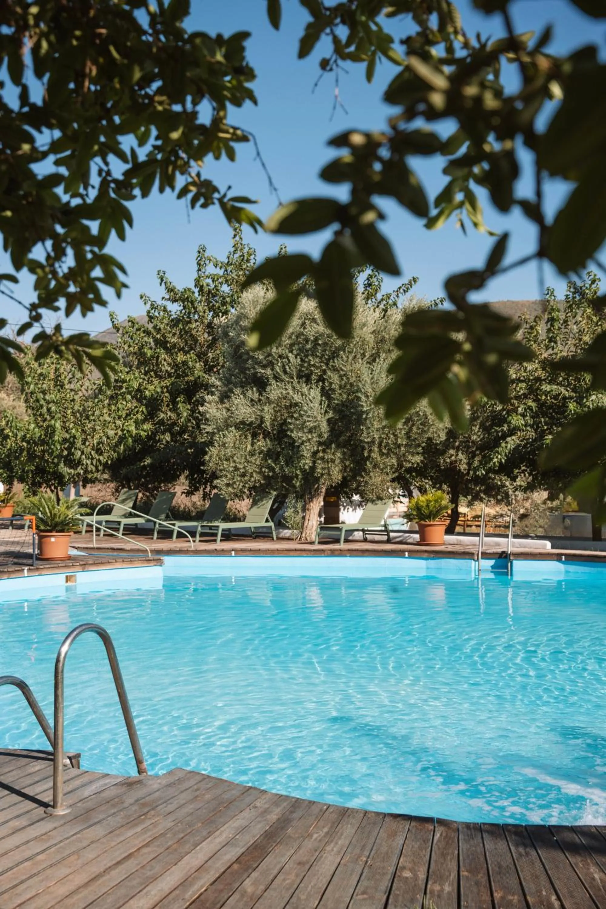 Hotel Taray Botanico