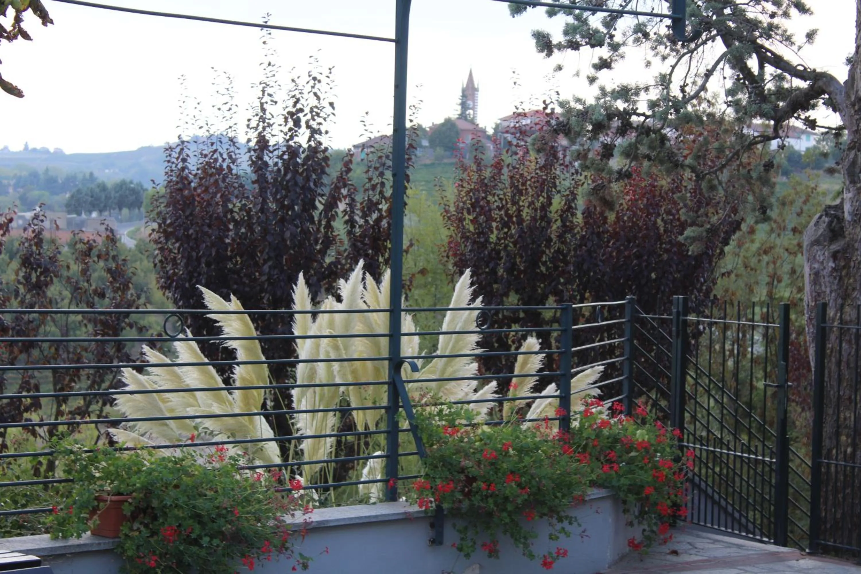 Summer in Locanda del Boscogrande