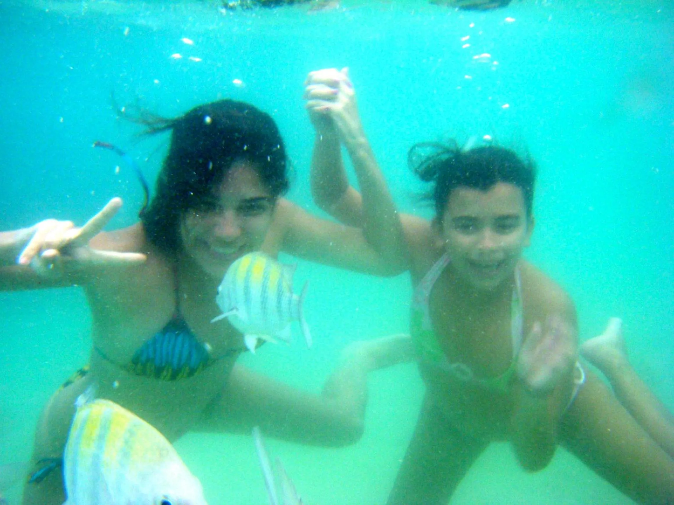 Beach in Pousada Ecohar Yoga