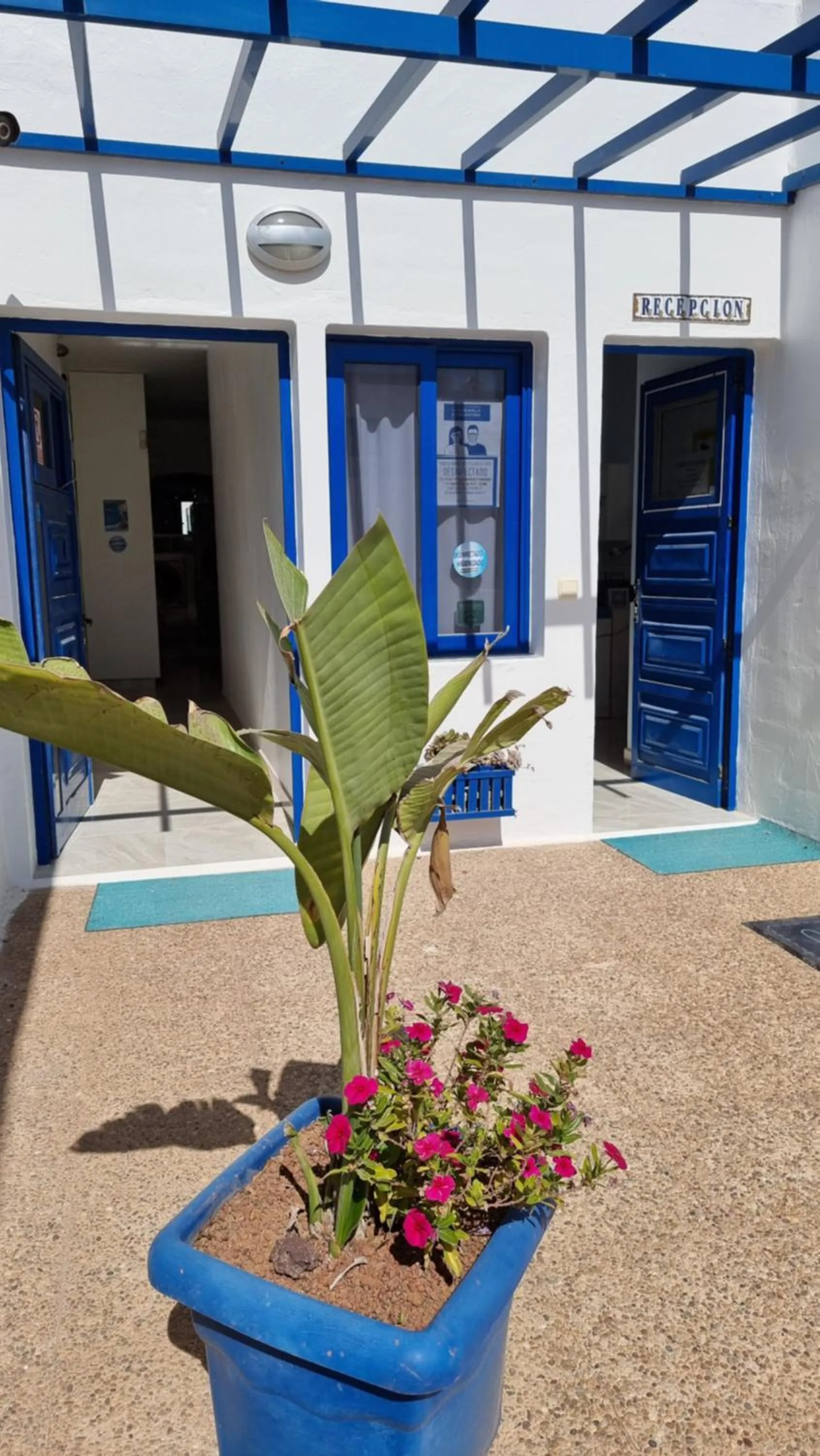 Facade/entrance in Caléndula Beach 1ºLinea mar