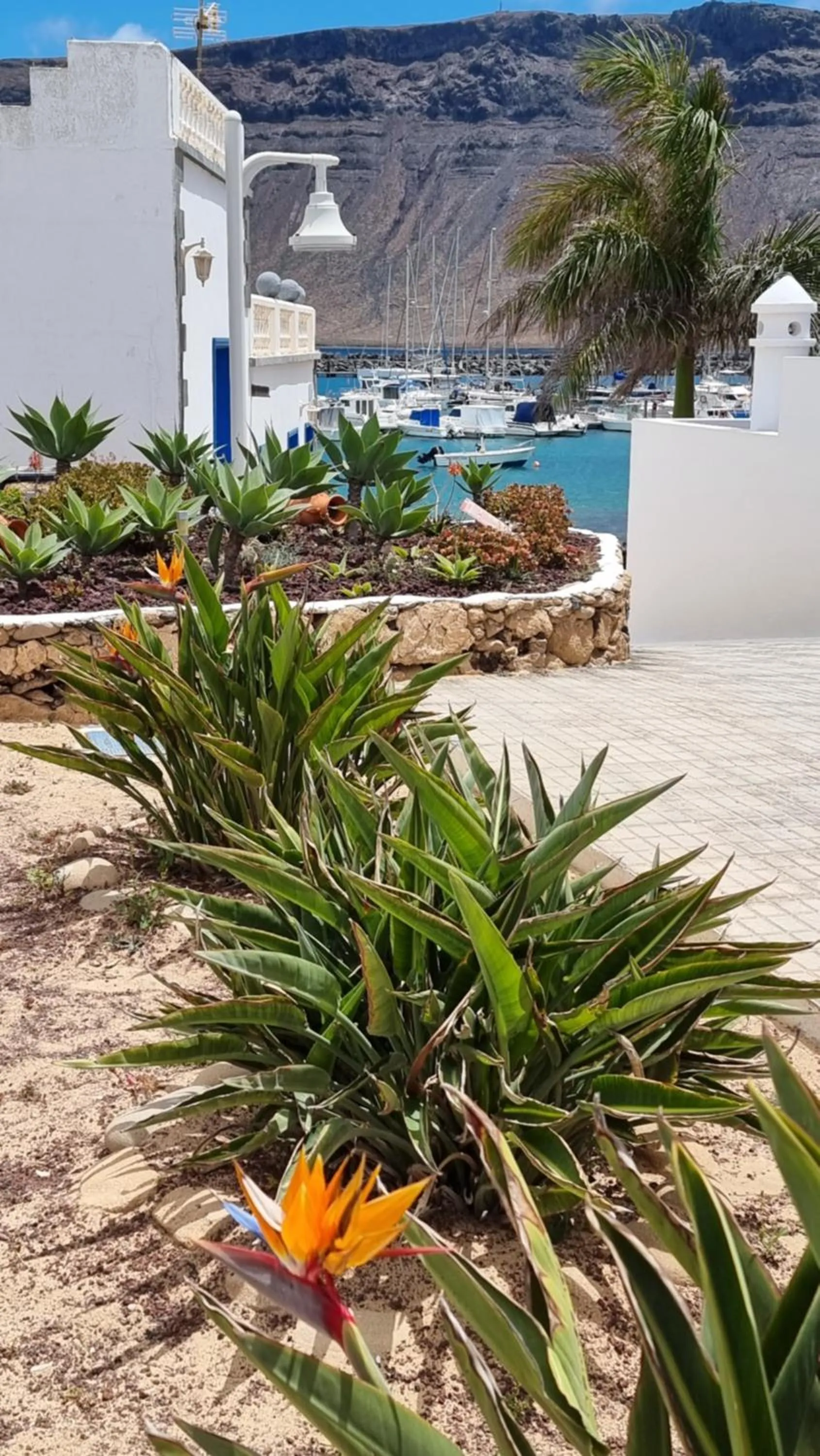 Caléndula Beach 1ºLinea mar