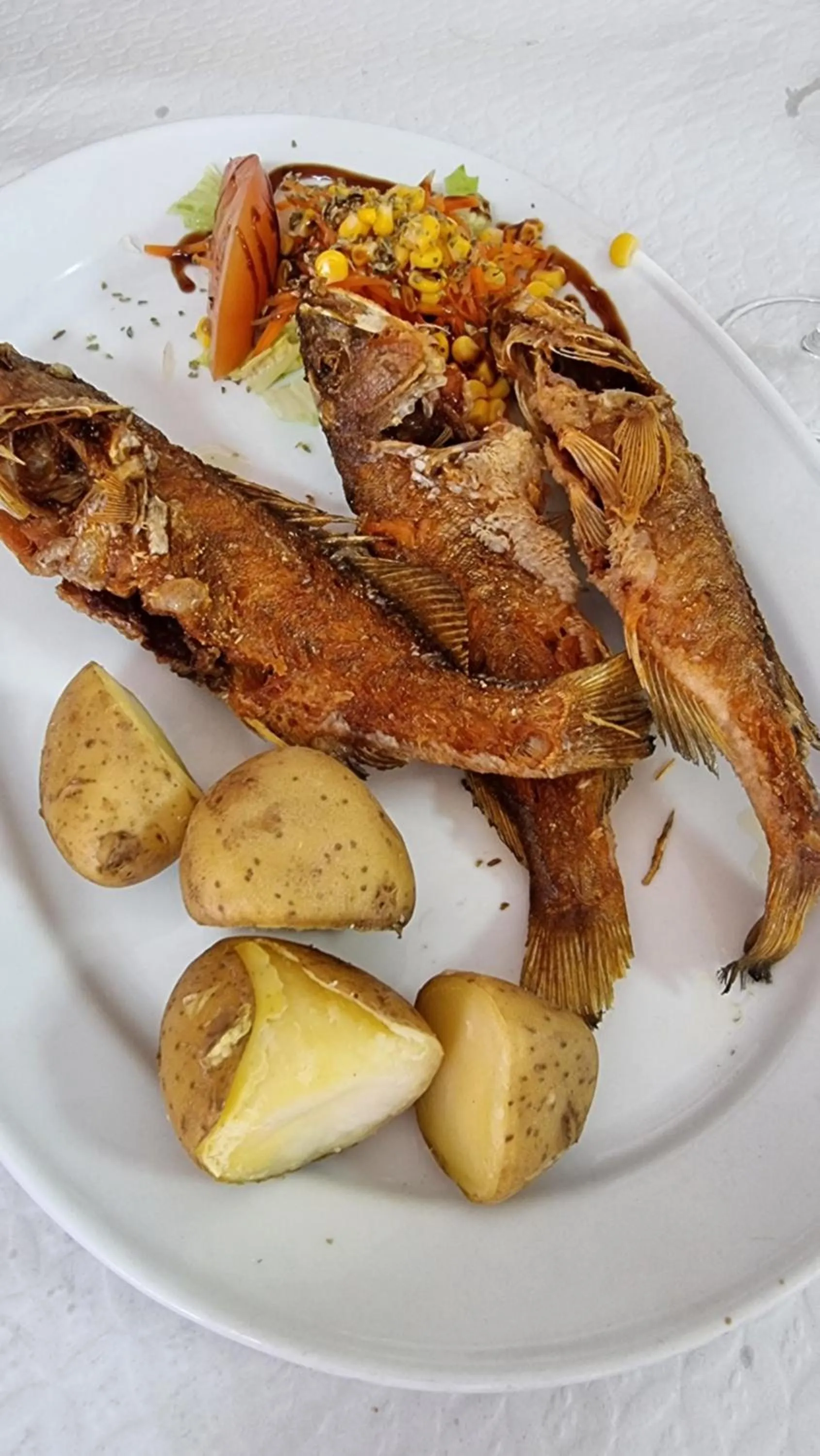 Caléndula Beach 1ºLinea mar