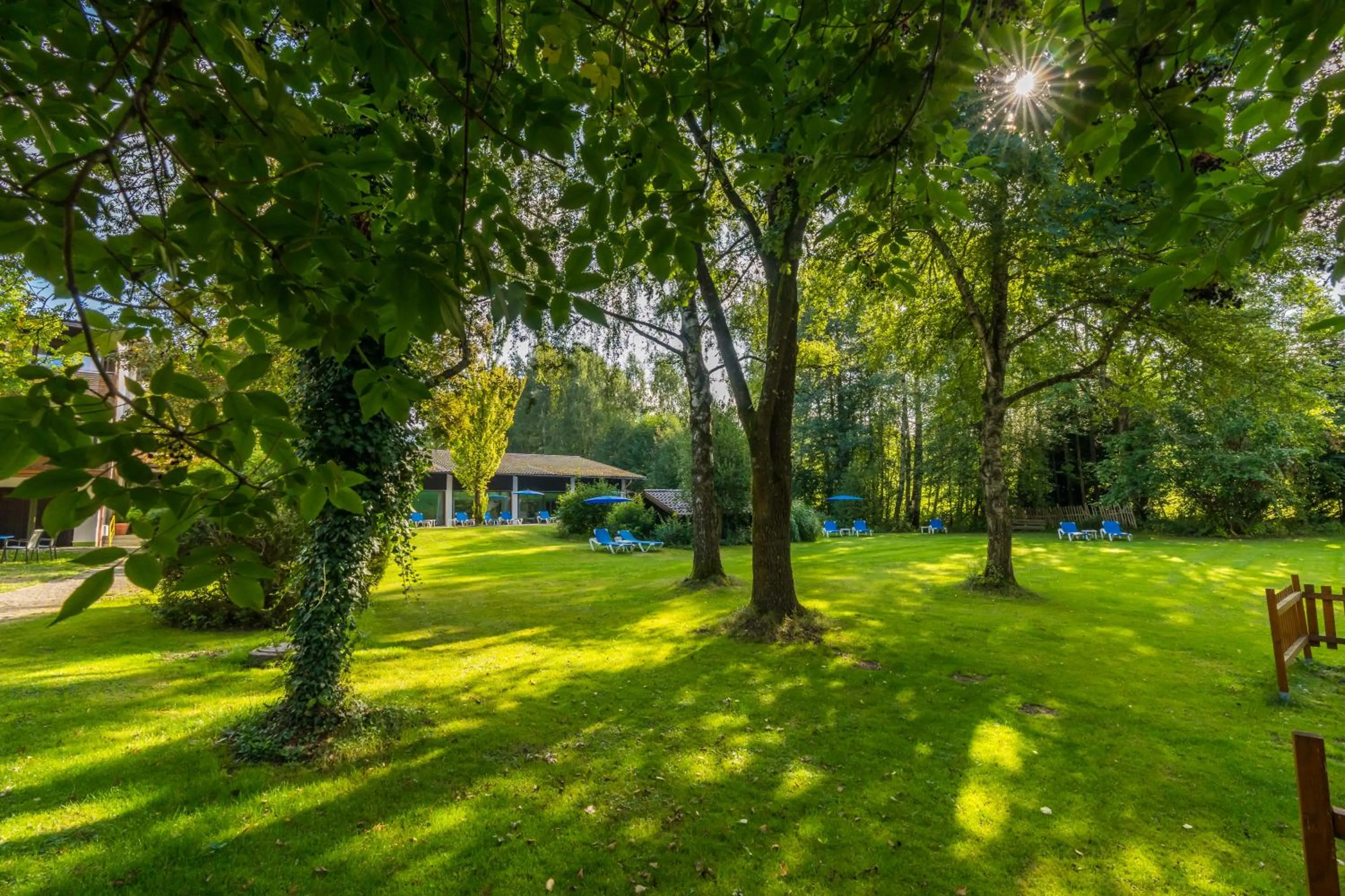 Garden in Hotel Das Bayerwald