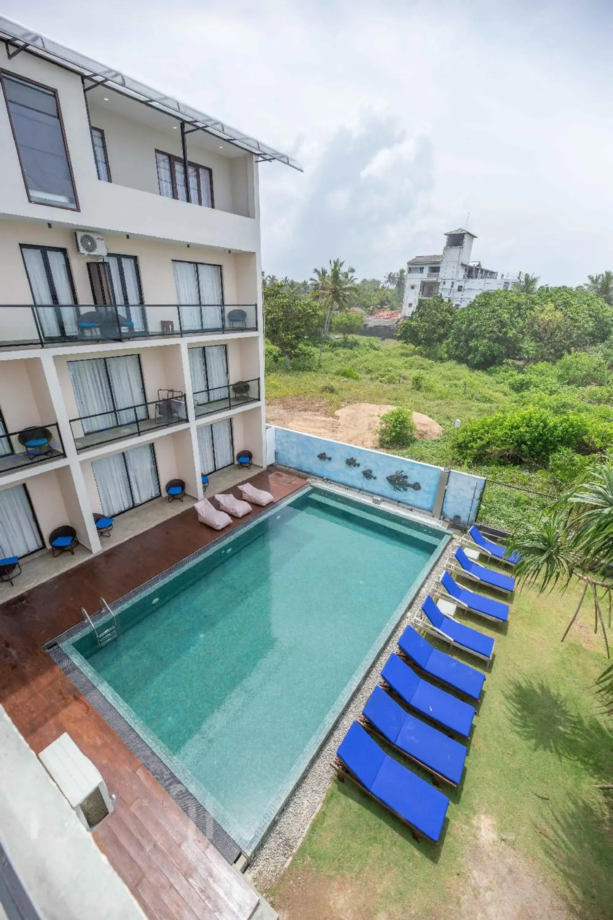 Pool view in Beach & Bliss Mirissa Pool view in Beach & Bliss Mirissa