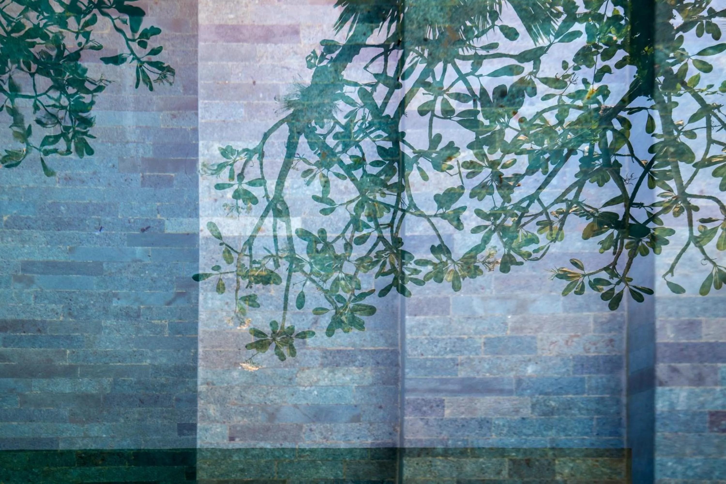 Pool view in Blossom Eco Luxe Villas by Ekosistem