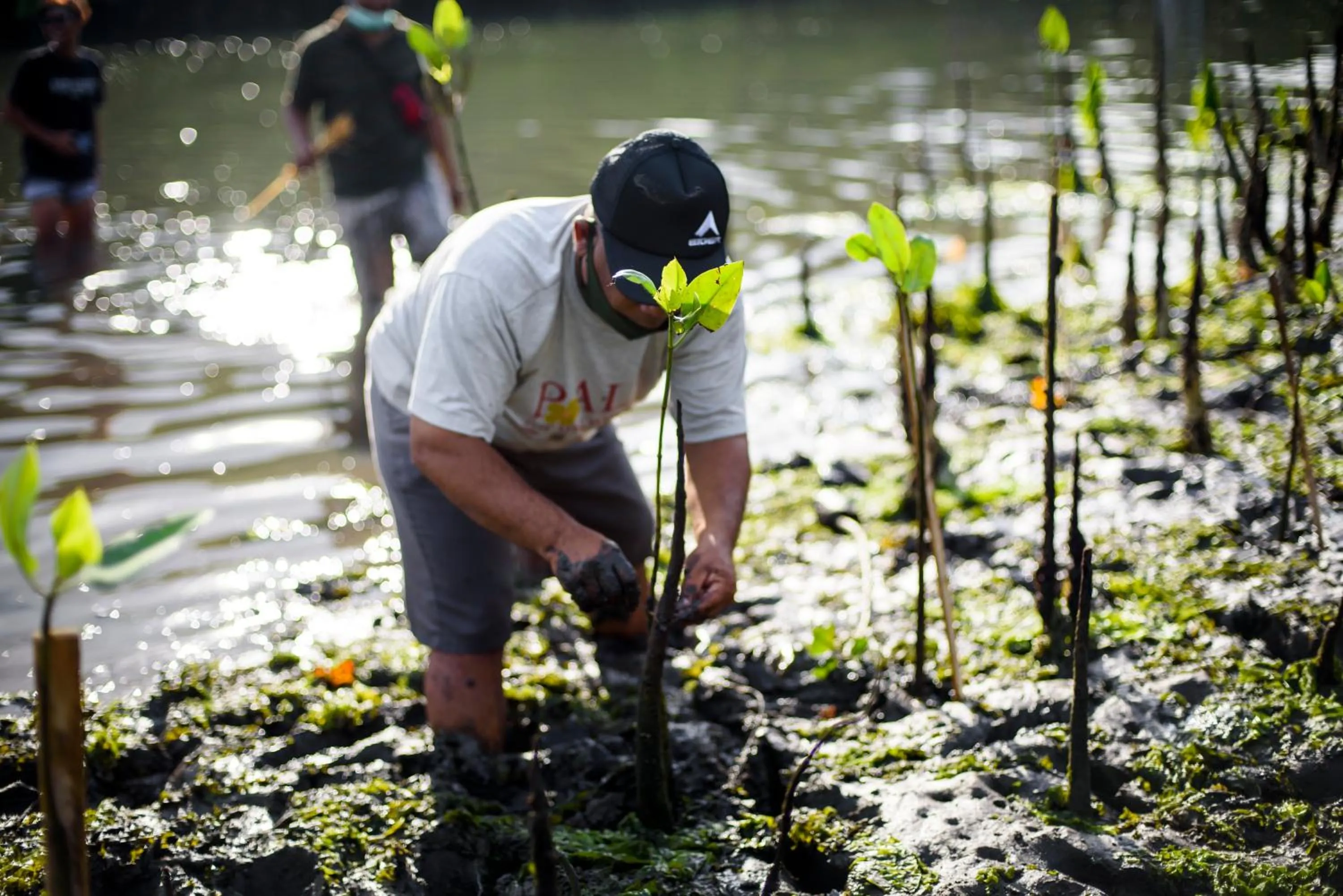 People in Blossom Eco Luxe Villas by Ekosistem