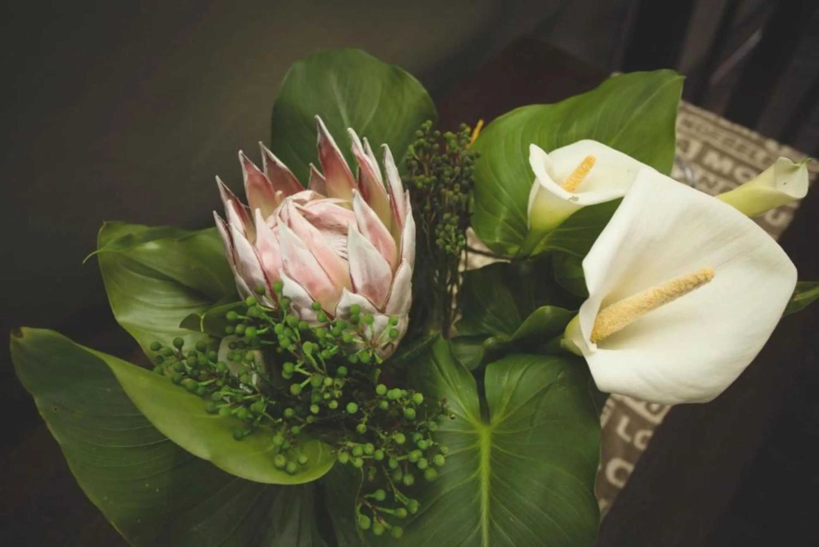 Decorative detail in Misty Mountain Reserve
