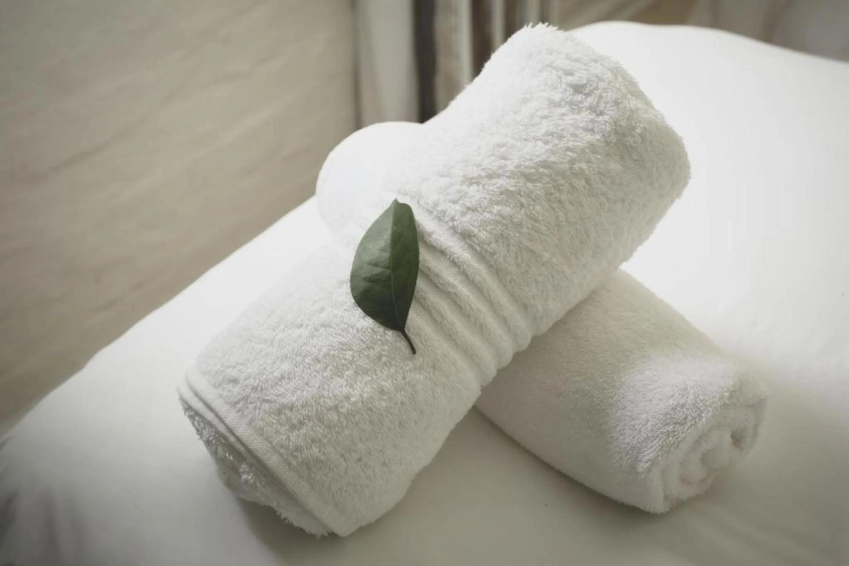 Bathroom, Bed in Misty Mountain Reserve