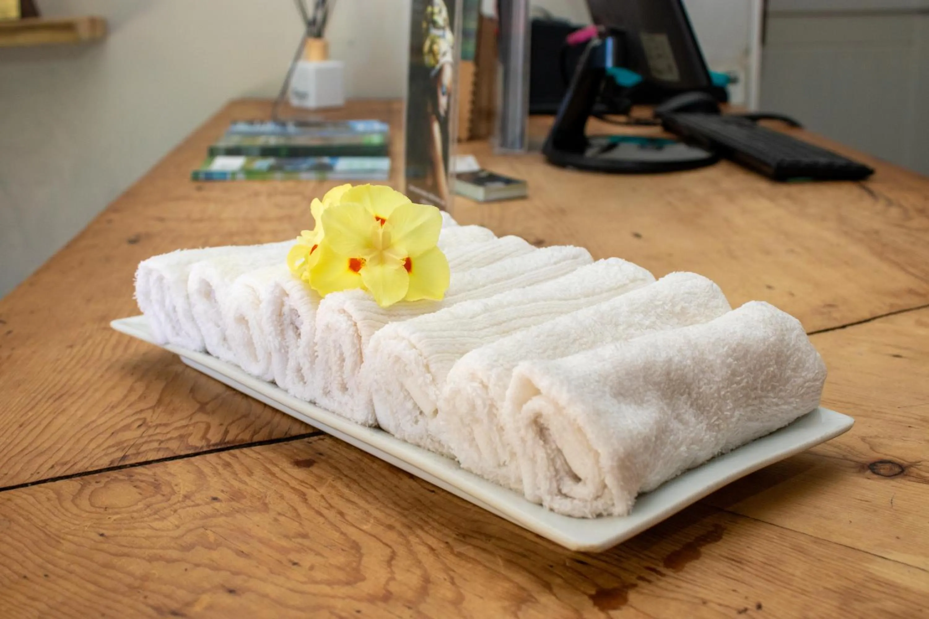 Lobby or reception in Misty Mountain Reserve