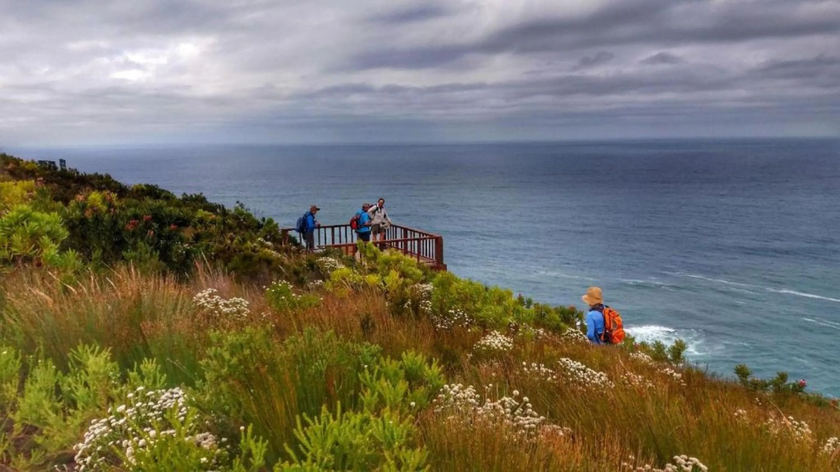 Natural landscape in Misty Mountain Reserve