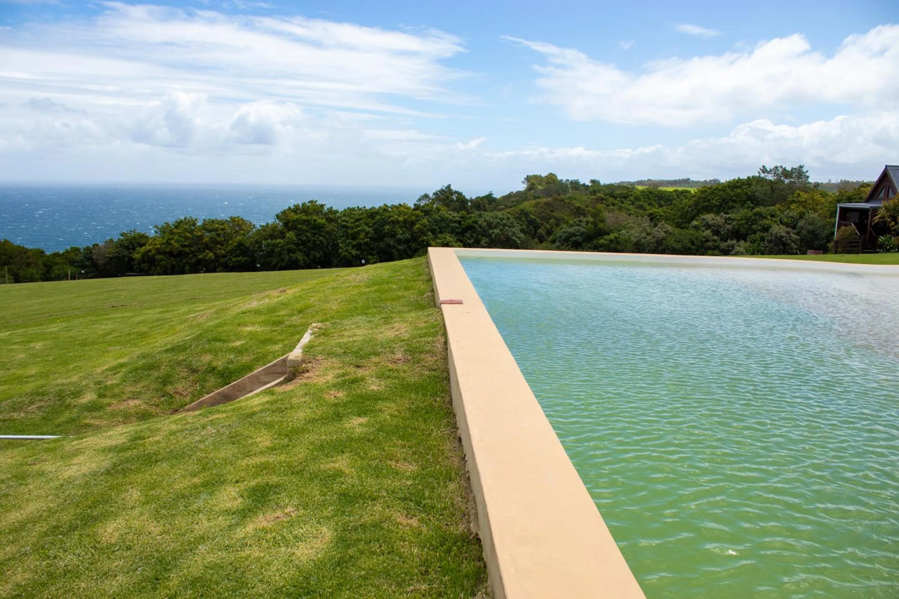 Summer in Misty Mountain Reserve