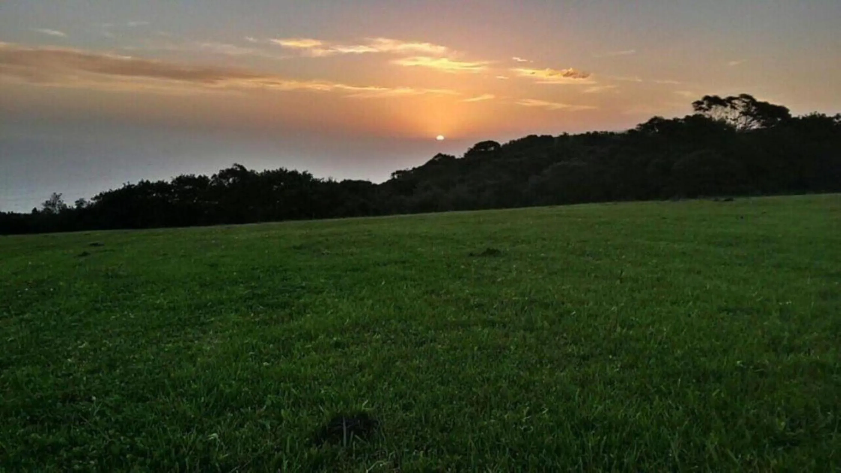 View (from property/room) in Misty Mountain Reserve