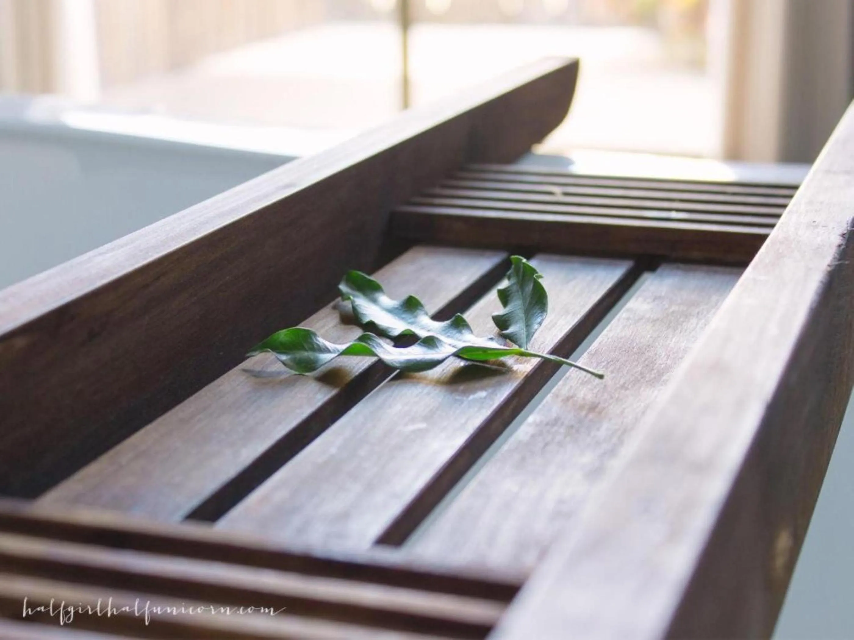 Decorative detail in Misty Mountain Reserve