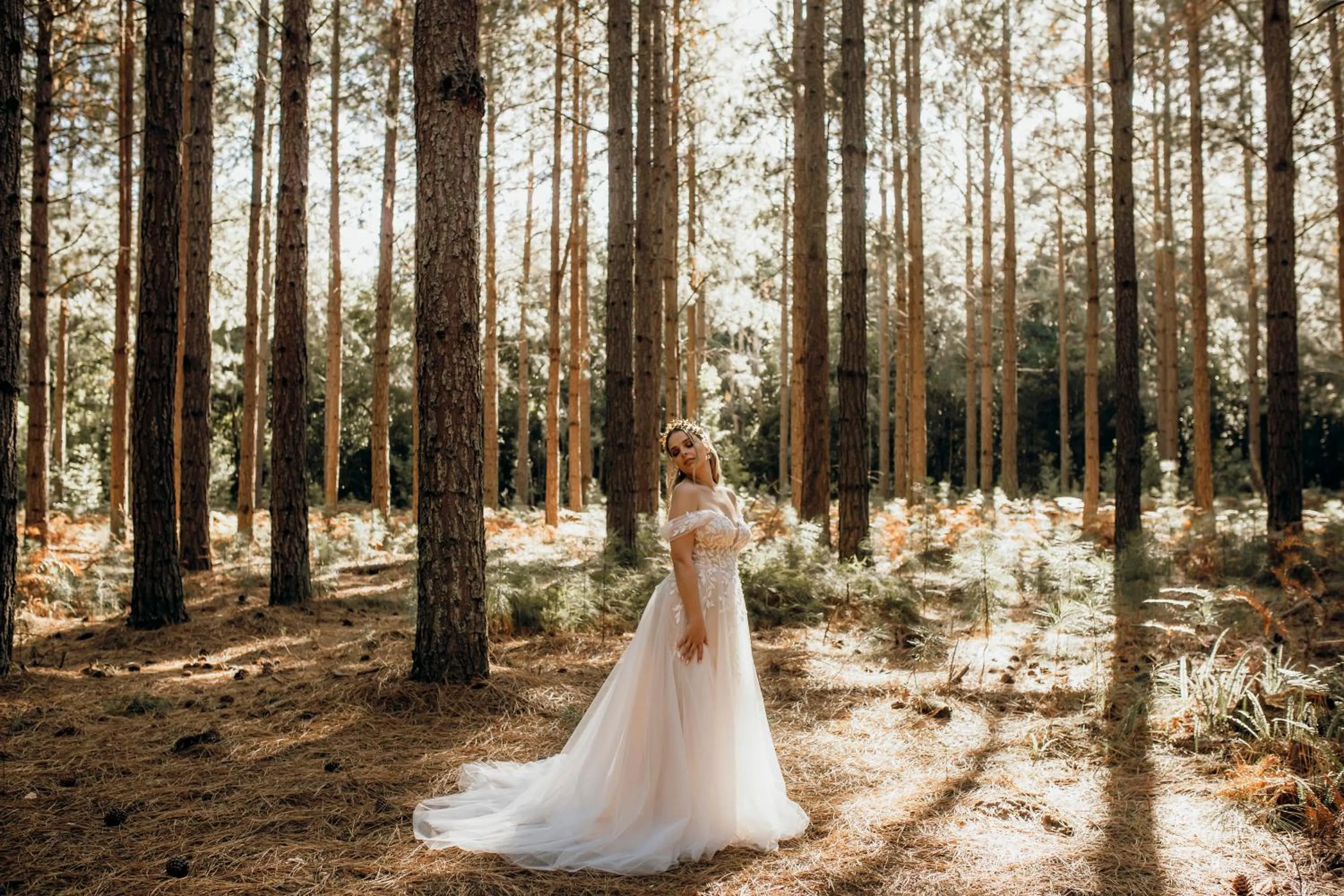 wedding in Misty Mountain Reserve