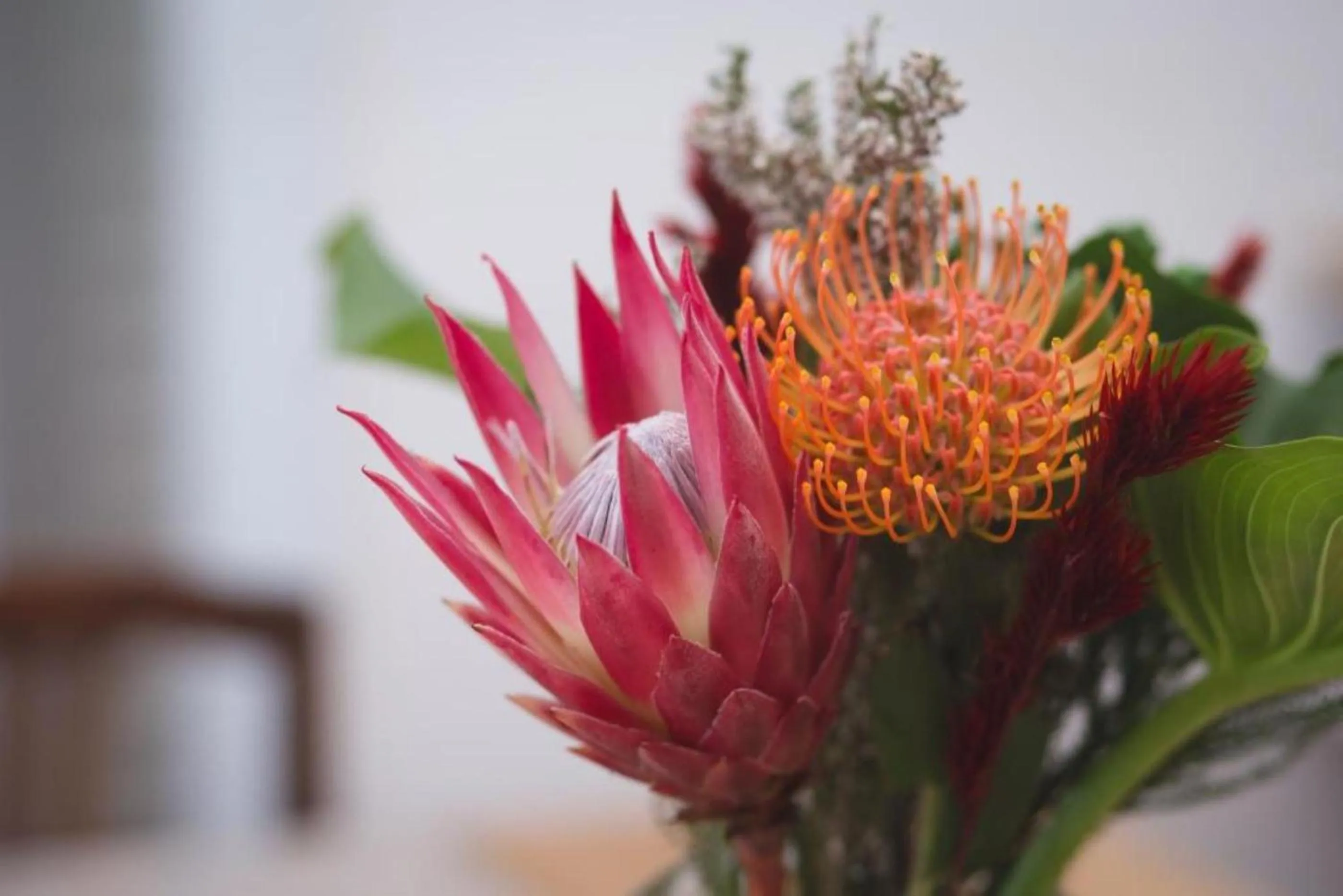 Decorative detail in Misty Mountain Reserve