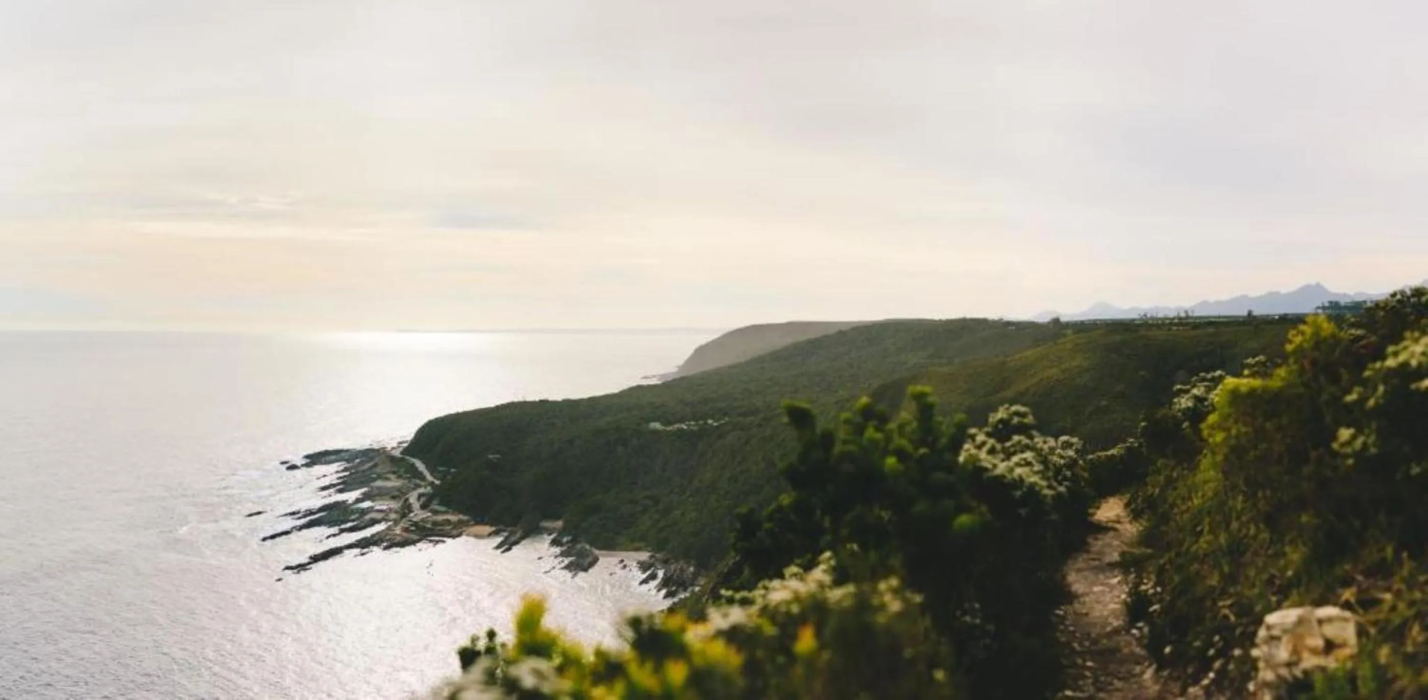 Natural landscape in Misty Mountain Reserve