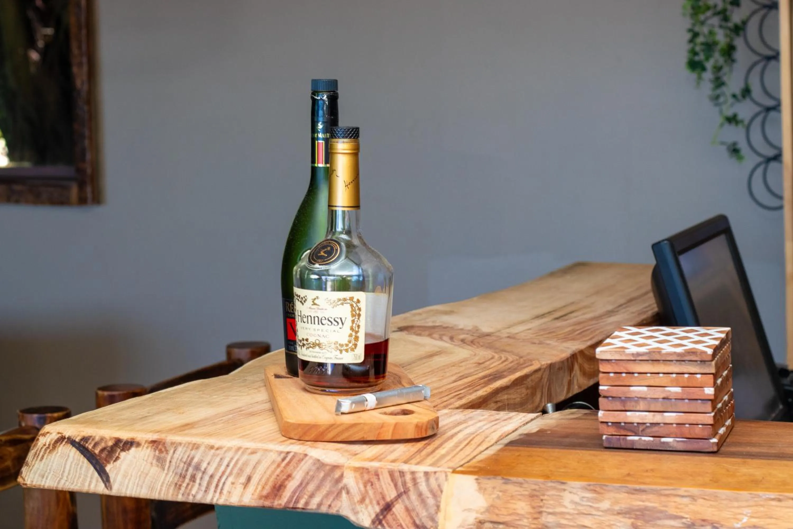 Lounge or bar in Misty Mountain Reserve