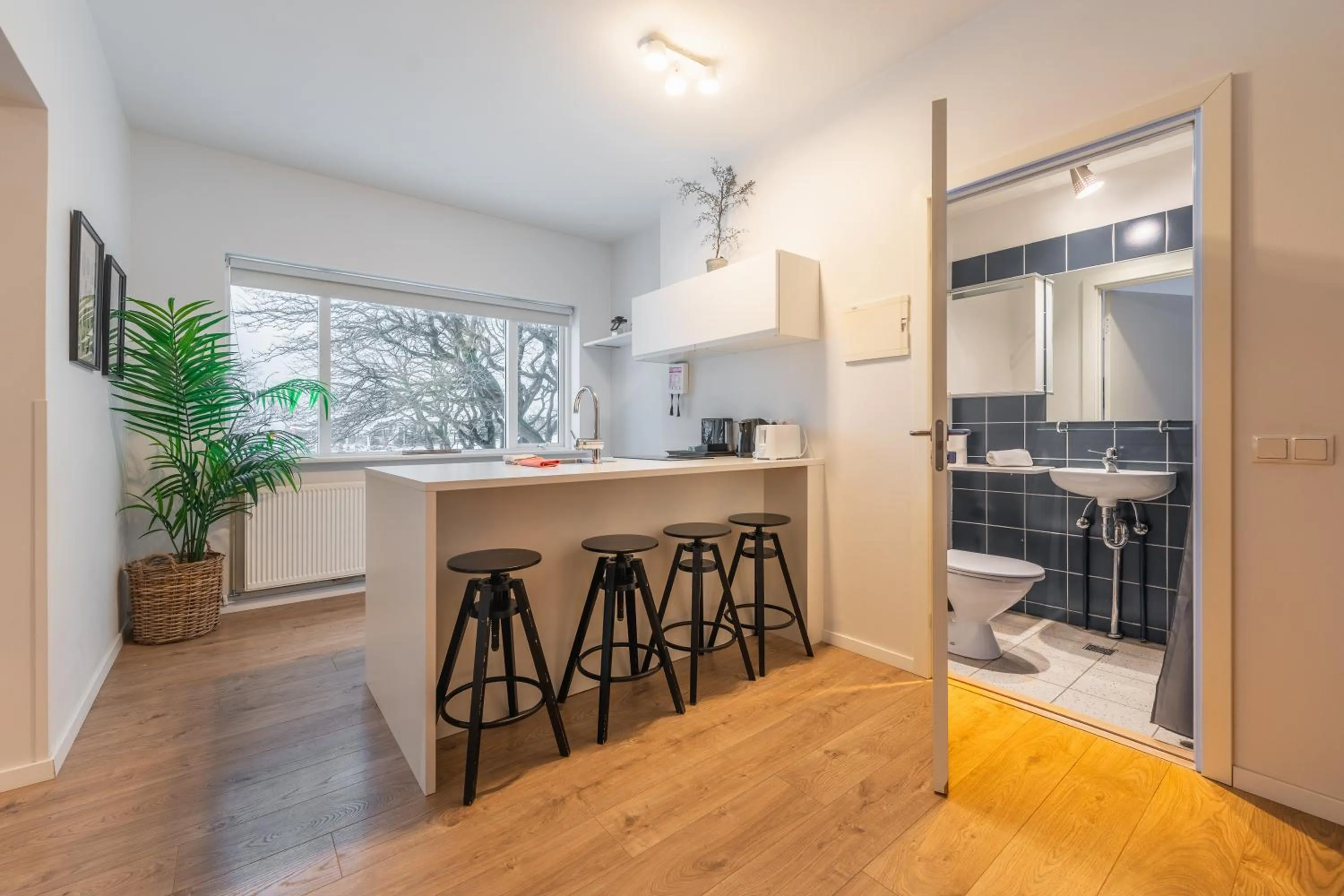 Kitchen or kitchenette in Day Dream Soleyjargata Rooms & Apartments