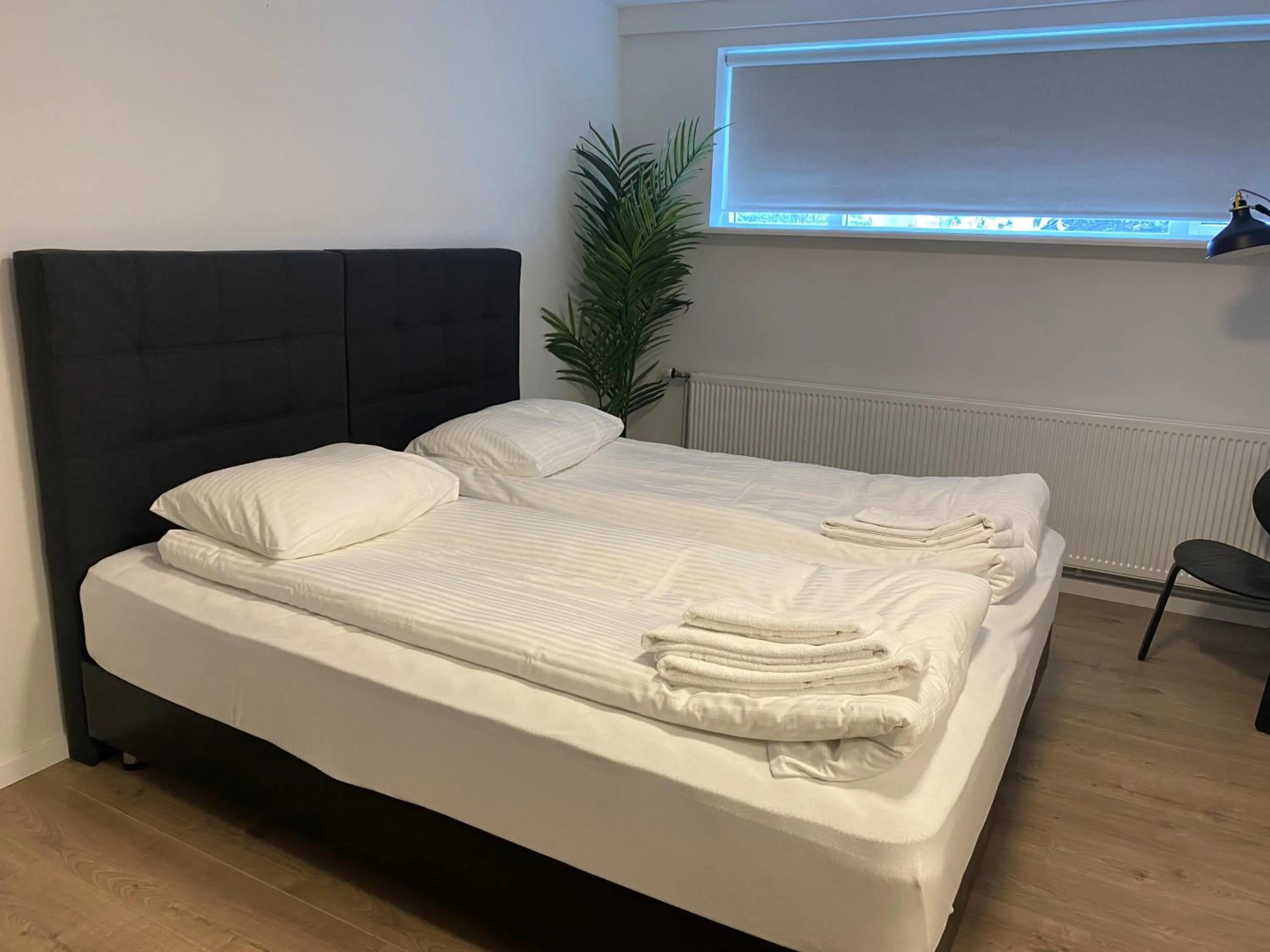 Bed in Day Dream Soleyjargata Rooms & Apartments