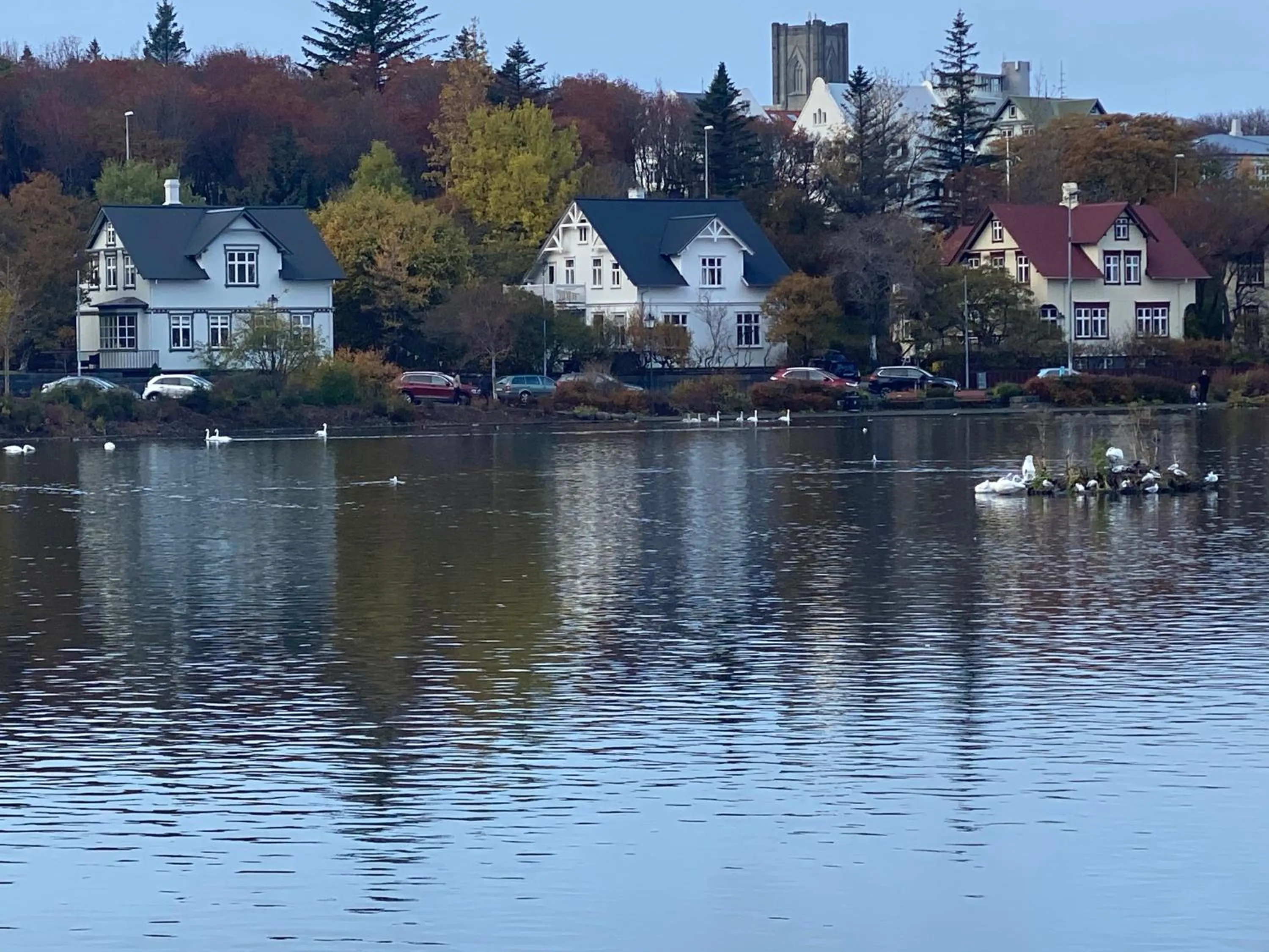 Neighbourhood in Day Dream Soleyjargata Rooms & Apartments