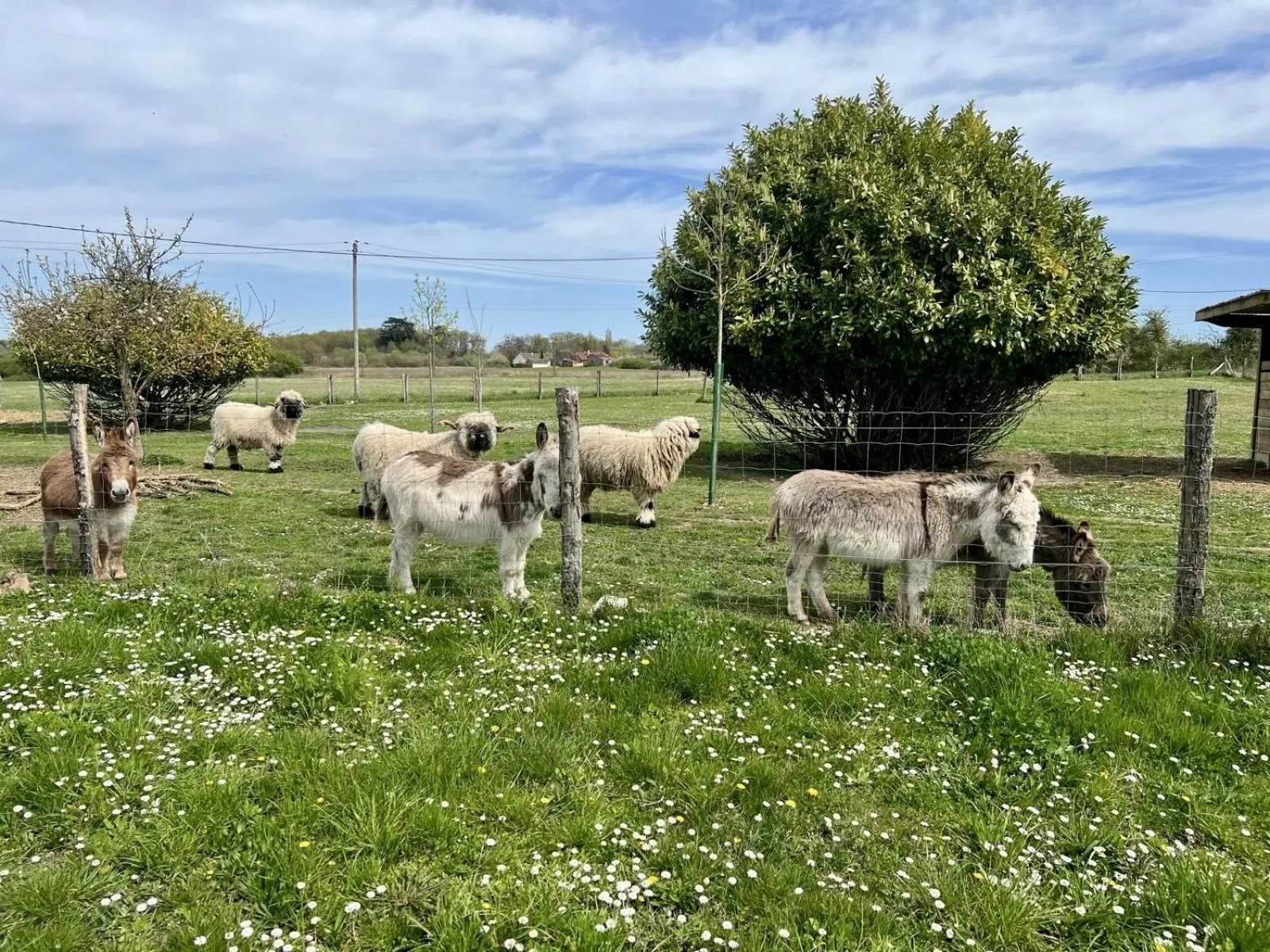 Other in Le Clos des Châteaux