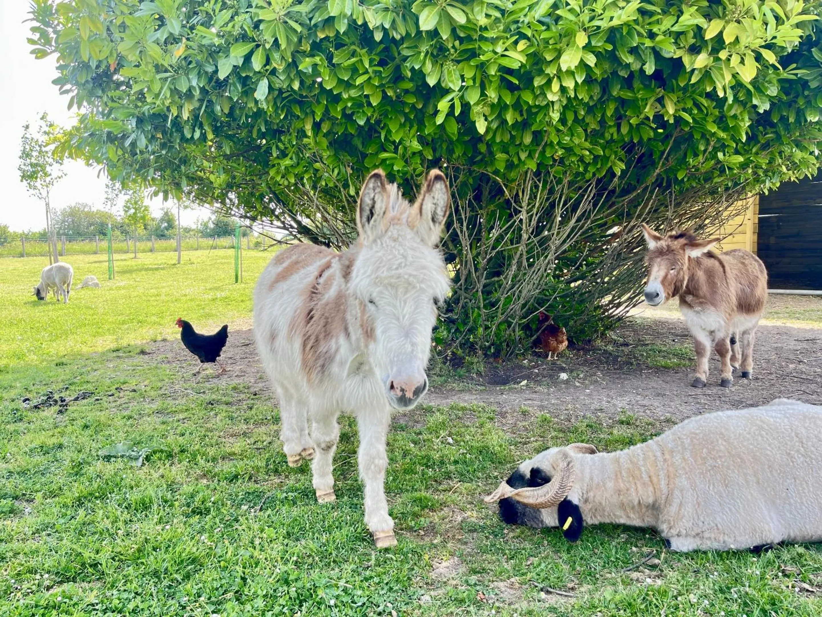 Property building in Le Clos des Châteaux