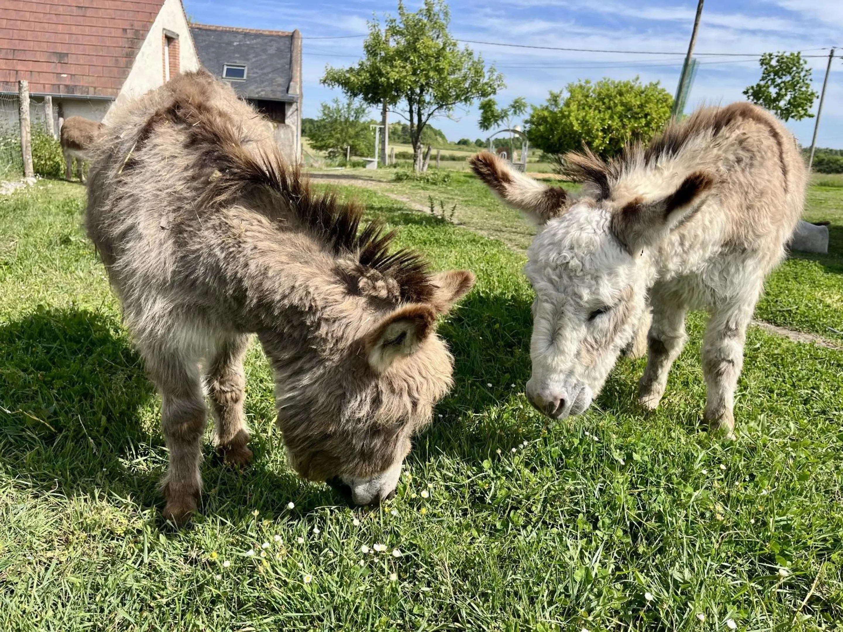Property building in Le Clos des Châteaux