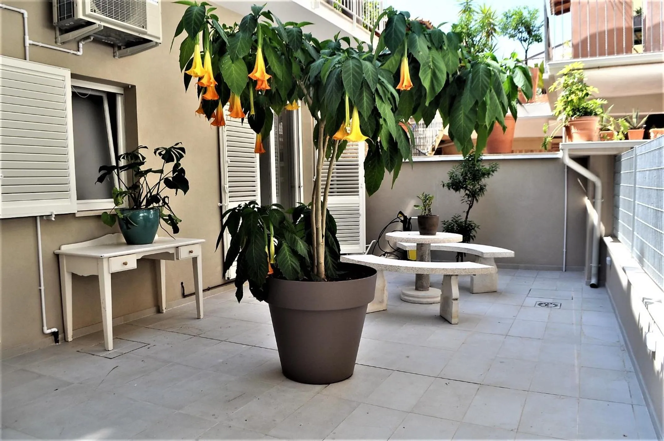 Balcony/Terrace in B&B Fontanella 32