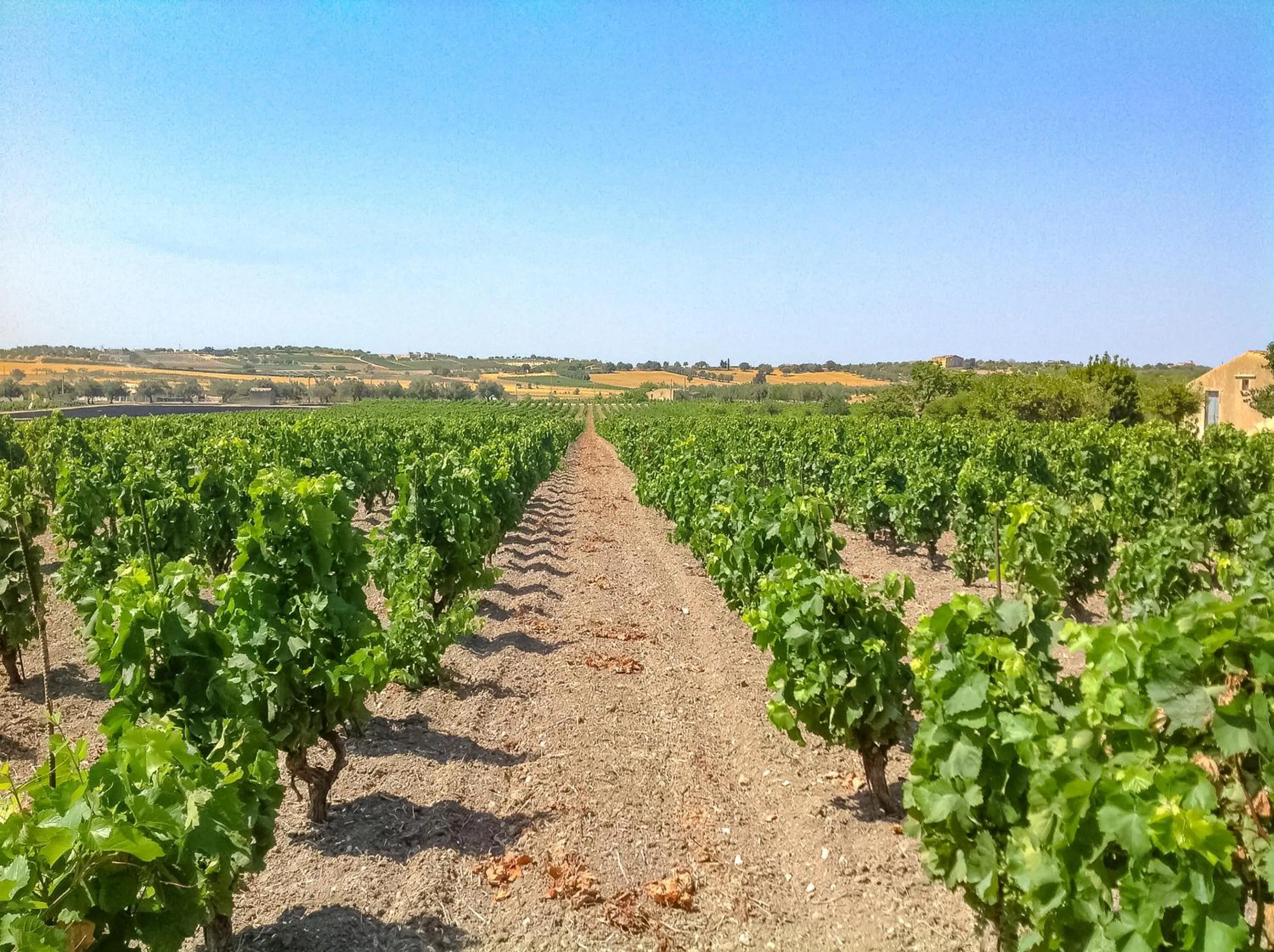 Day in Dimora Calauriia - Adults Only