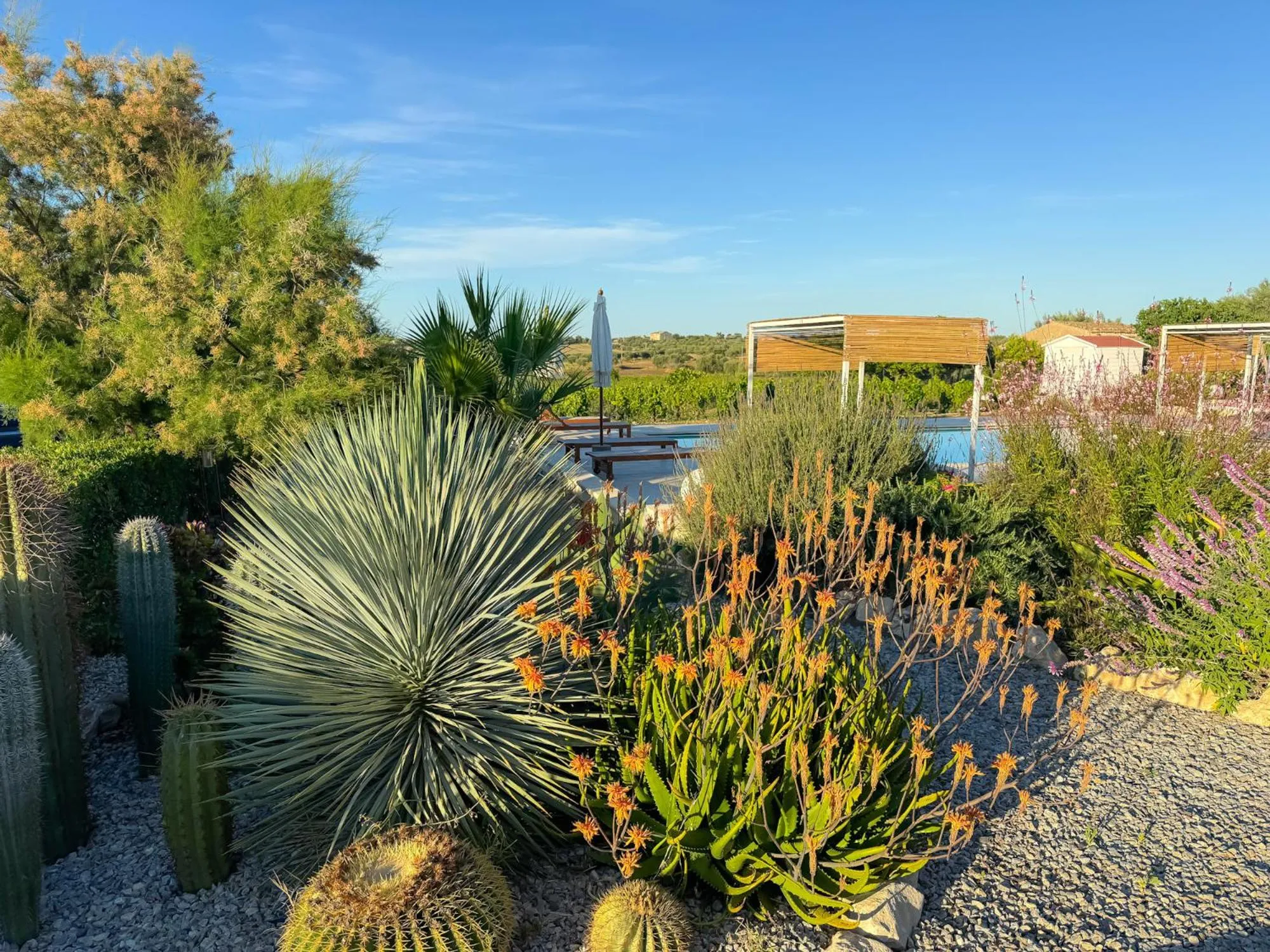 Garden in Dimora Calauriia - Adults Only